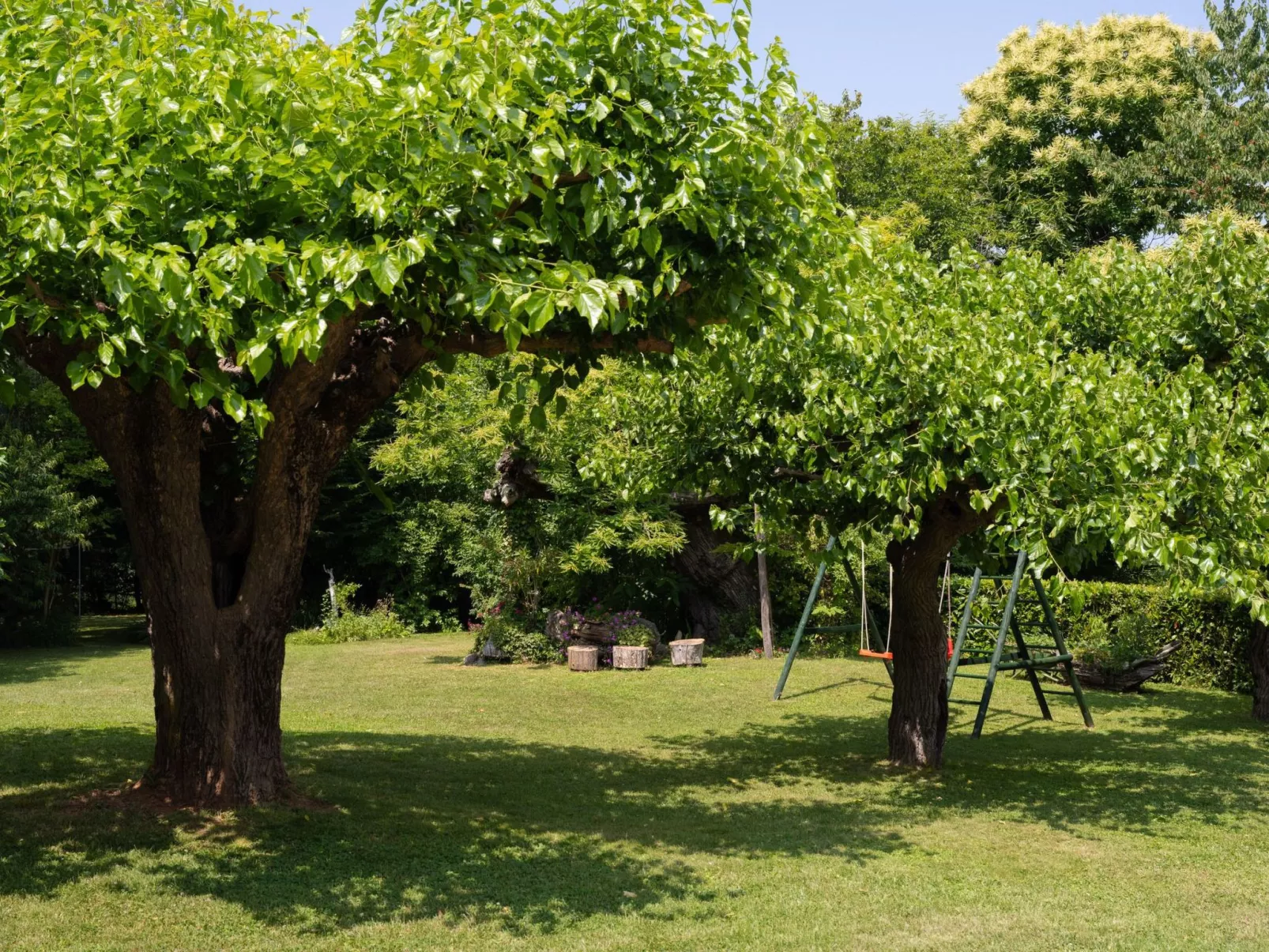 Gemütliches Ferienhaus in Ružići mit Offenem Kamin-Buiten