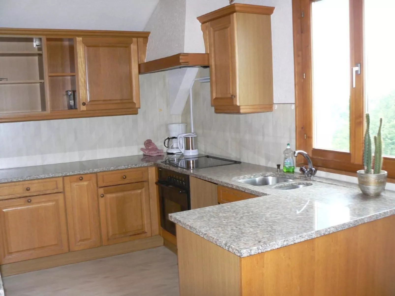 Schafmatthof Dachwohnung-Binnen