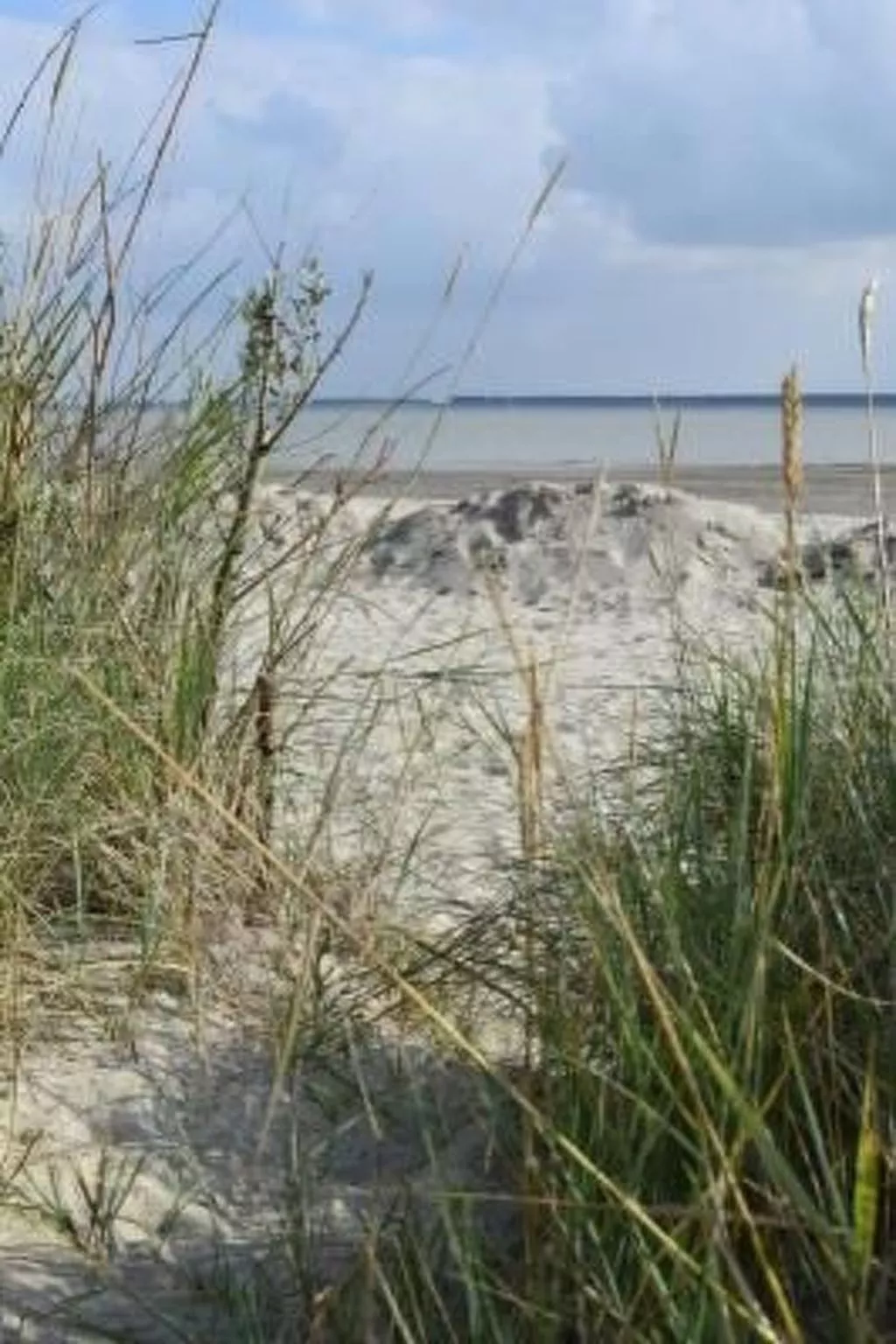 Kleines Haus mit Garten, direkt hinter dem Deich-Buiten