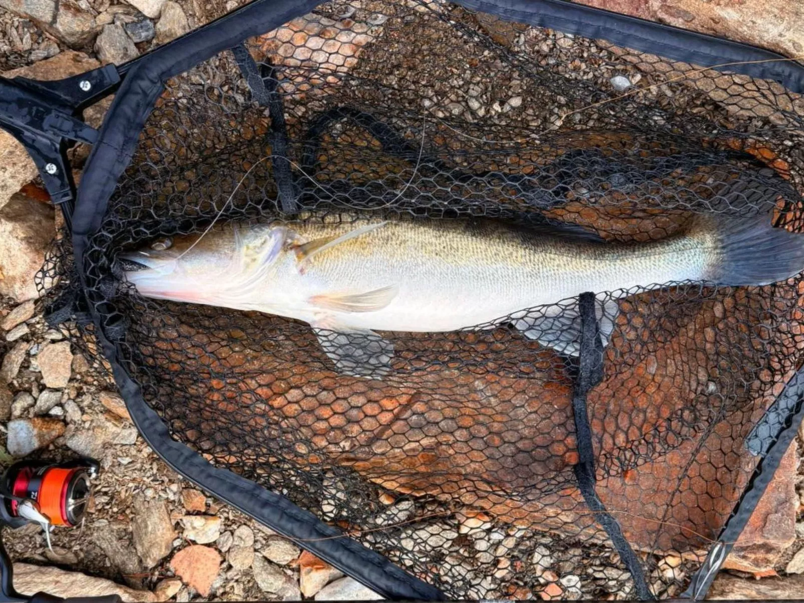 Haus Laura, Frymburk-Image-tags.info