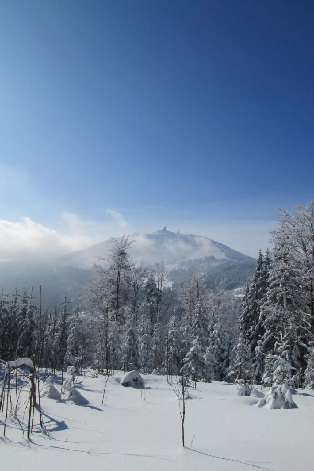 Seitz 1 in Bayerisch Eisenstein-Buiten