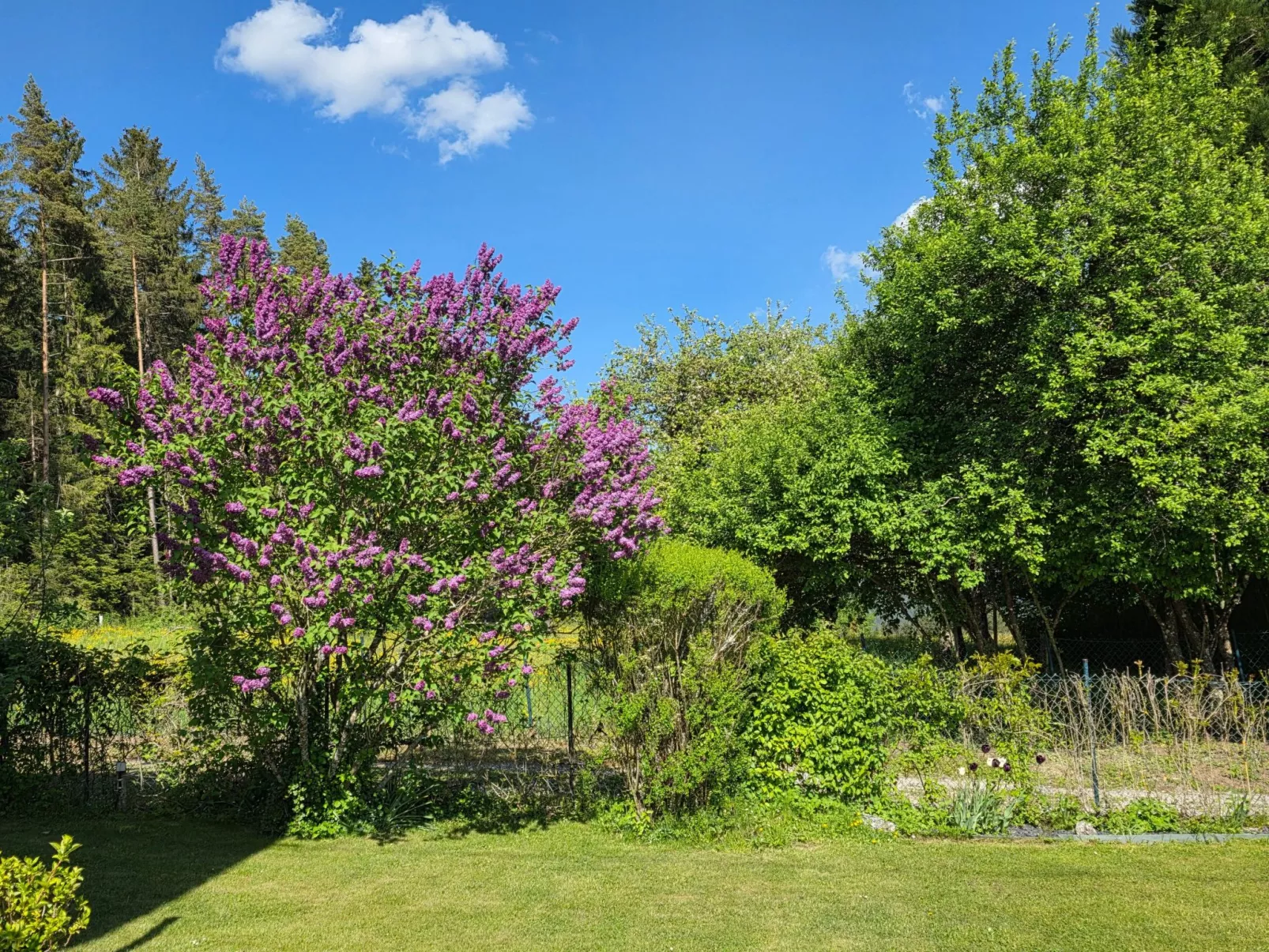 Schwarzwaldglück-Buiten