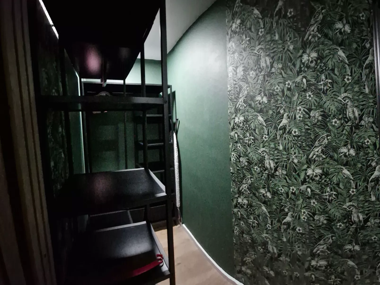 Schwarzwald Königin-Binnen