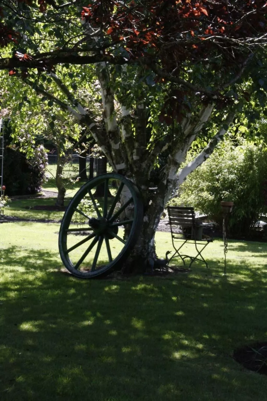 Borkum-Image-tags.info