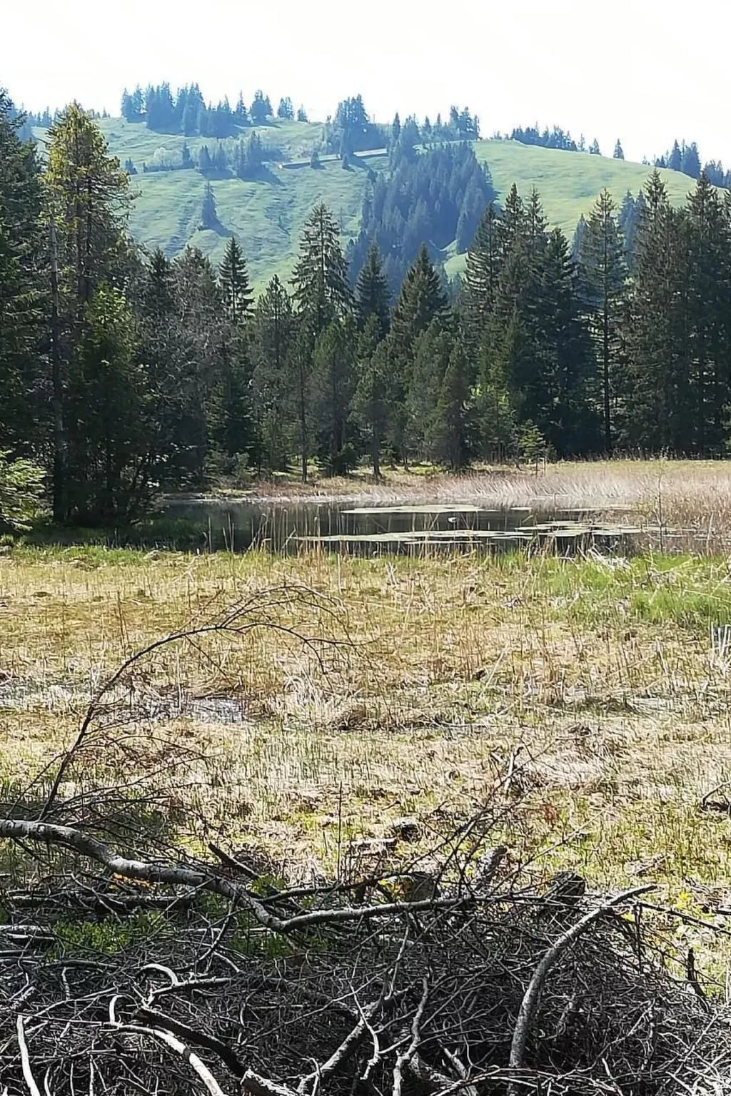 2-Zimmerwohnung Mörlialp im Wander- und Skigebiet-Buiten