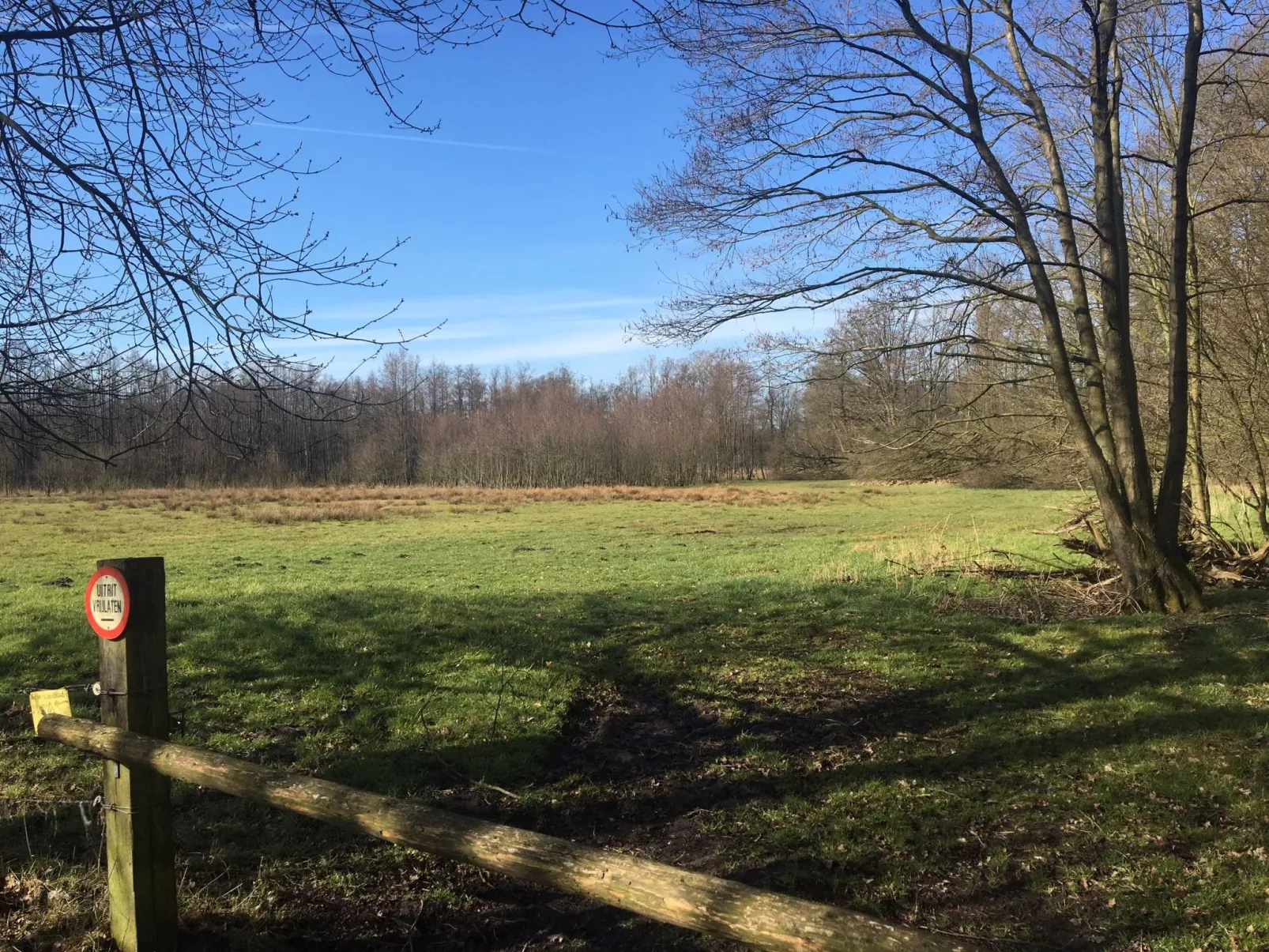 Geräumiges Ferienhaus mitten im Wald-Buiten