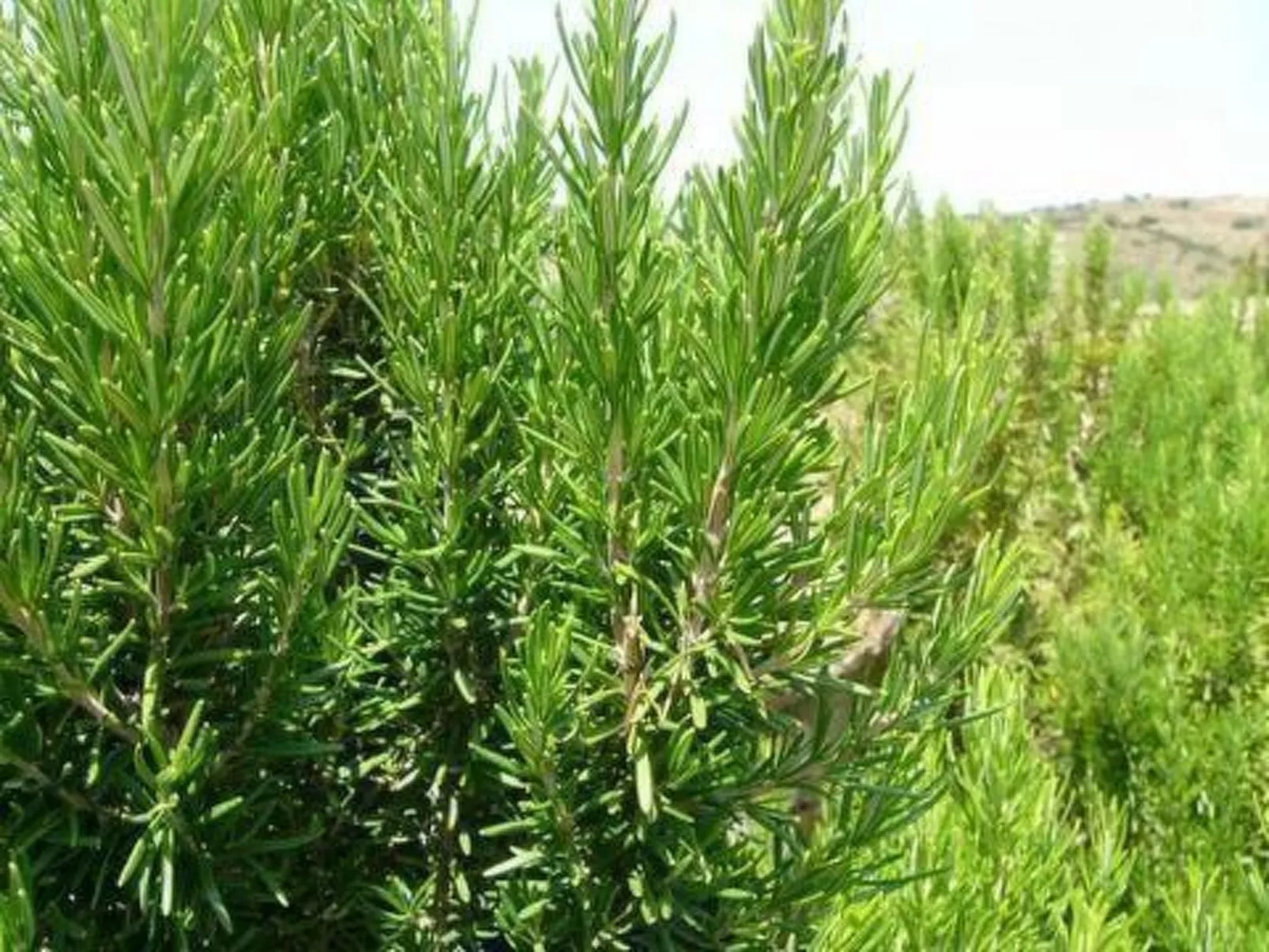 "Ein kleines Paradies"-Image-tags.info