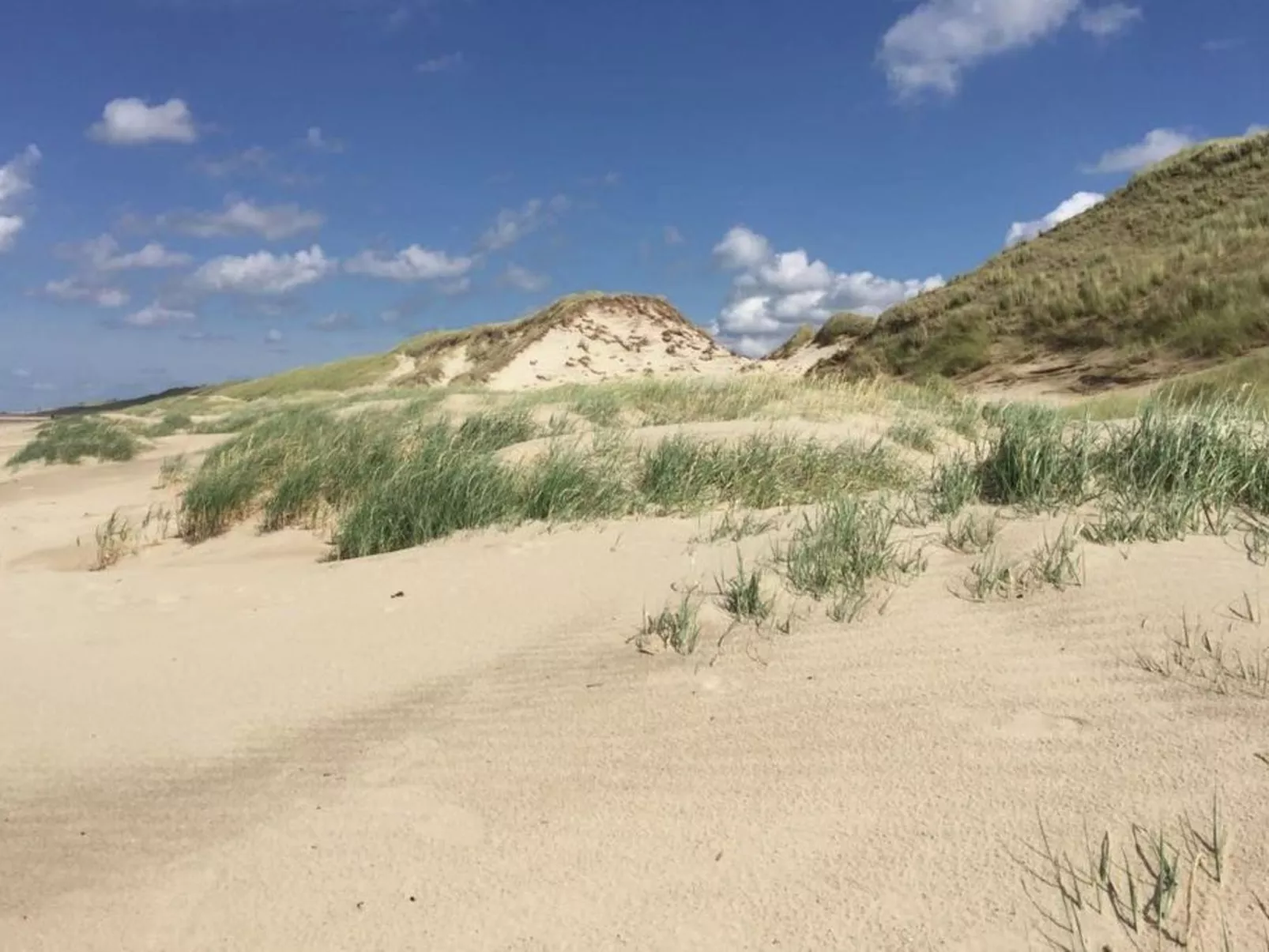 "De Korre 4" mit privatem Garten und Terrasse-Buiten