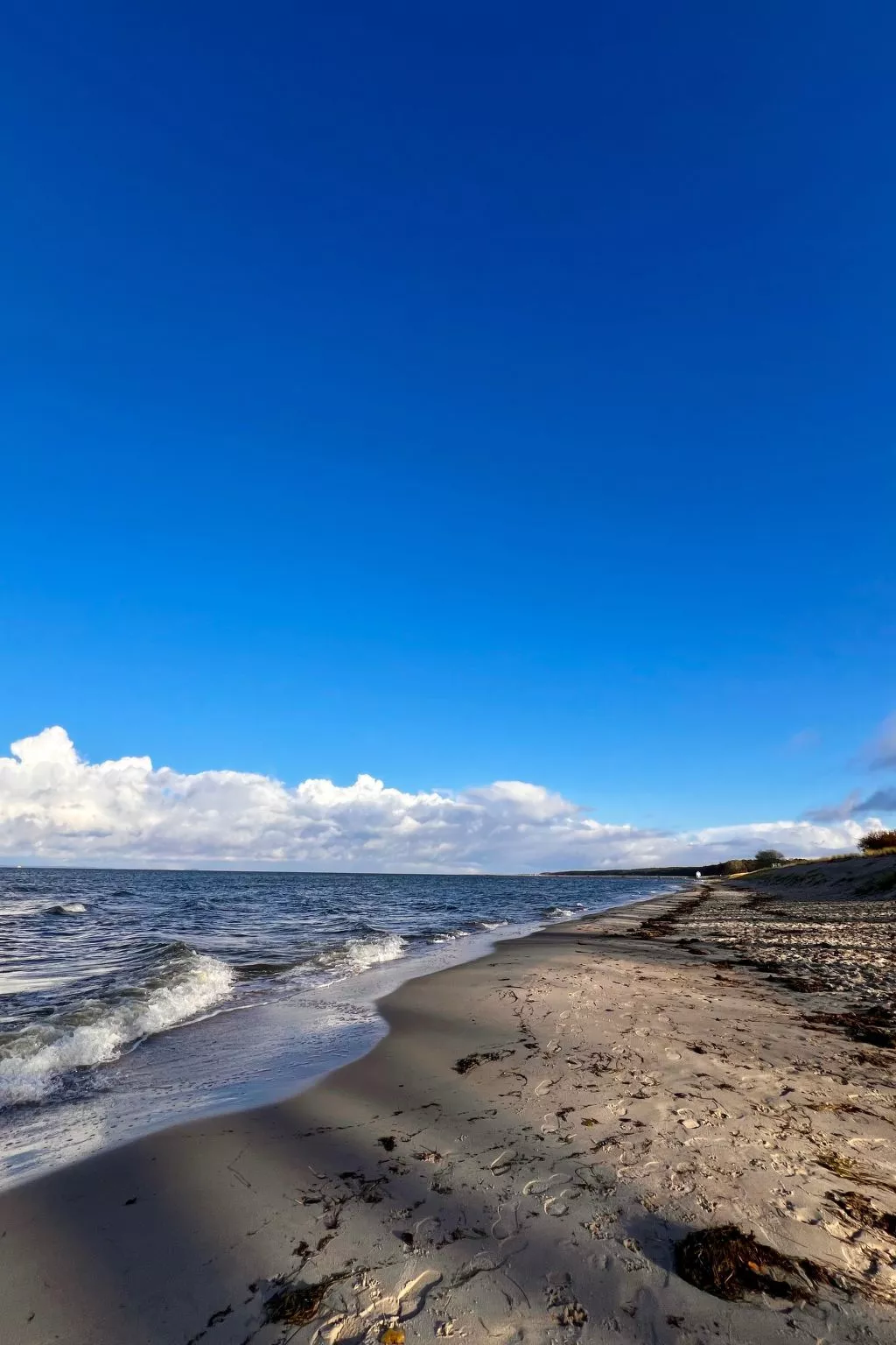 Lobster im Nauticum-Buiten