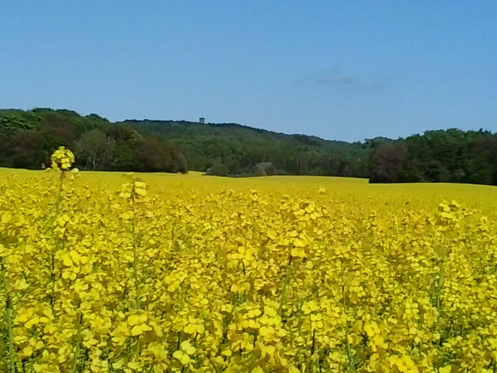 Domizil für zwei-Buiten