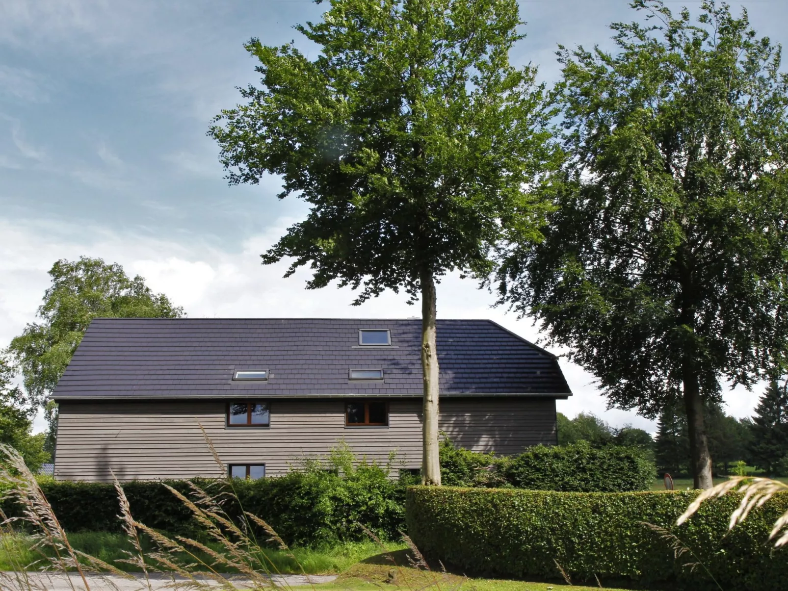 Am Hohen Venn-Buiten