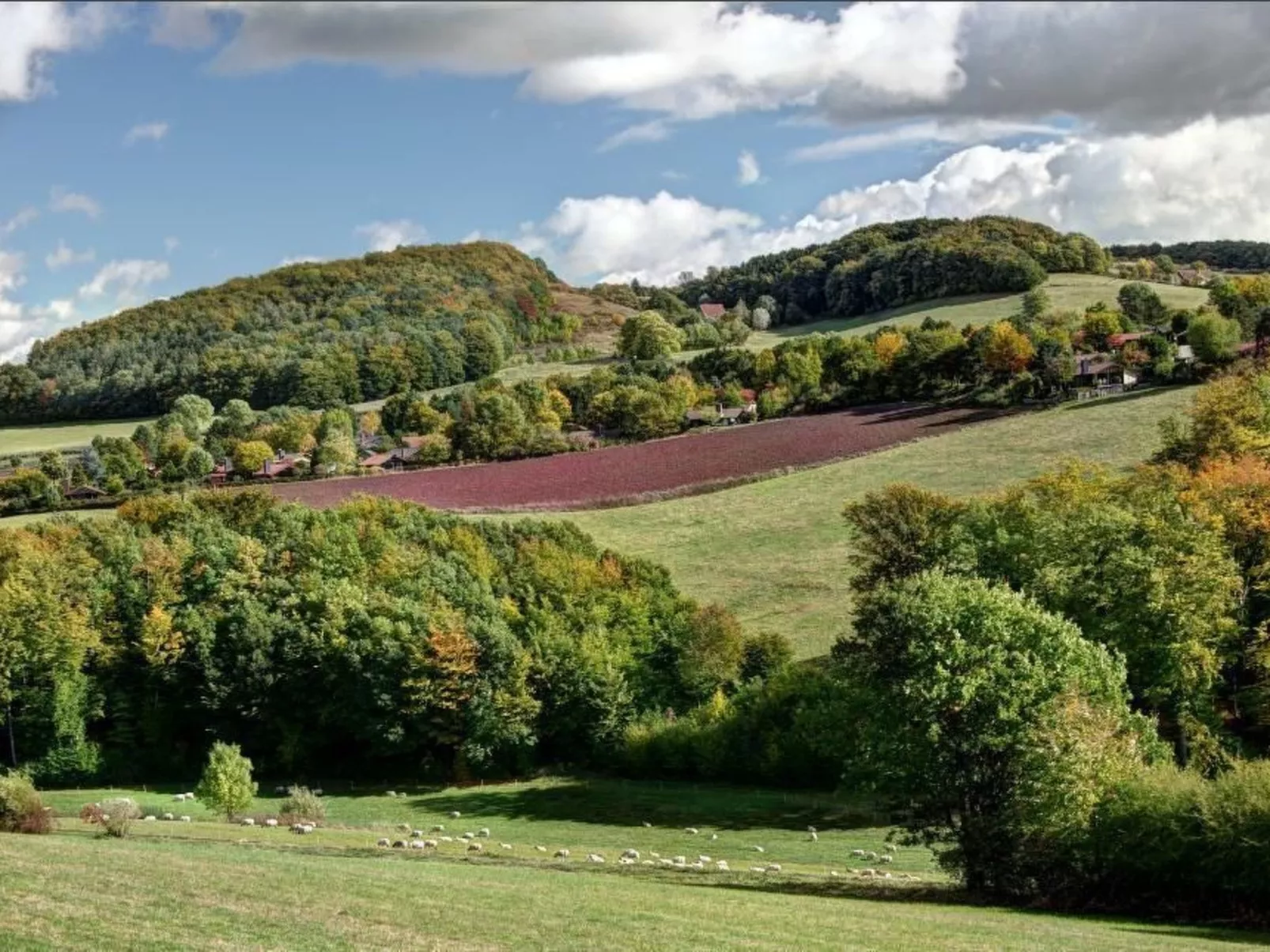 Sophie-Image-tags.info