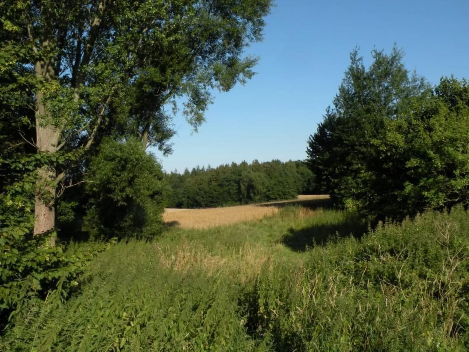 Hof Rodenkrog Fewo 1-Buiten