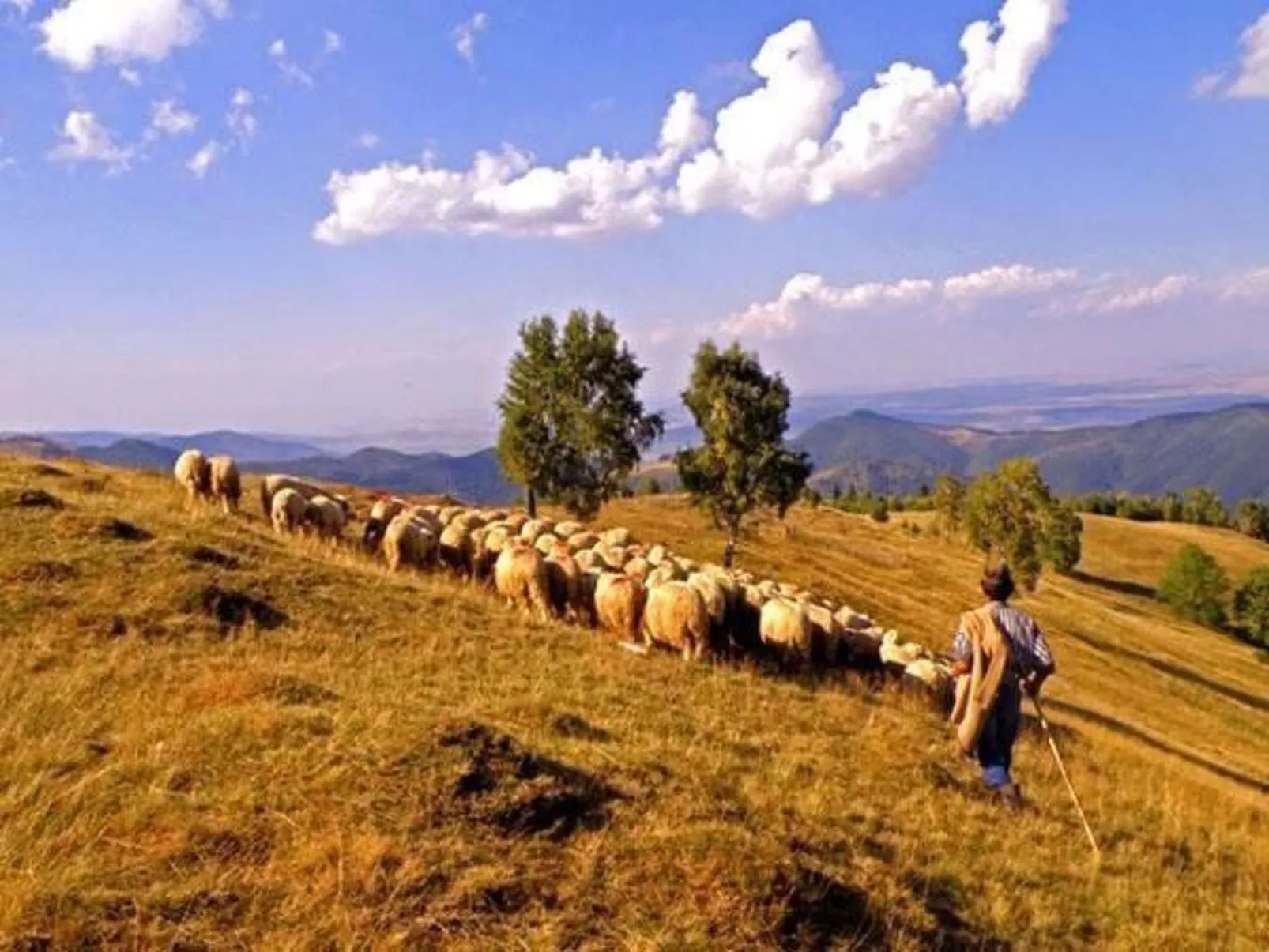 Casa Zollo - nahe den Karpaten Transsilvaniens-Buiten