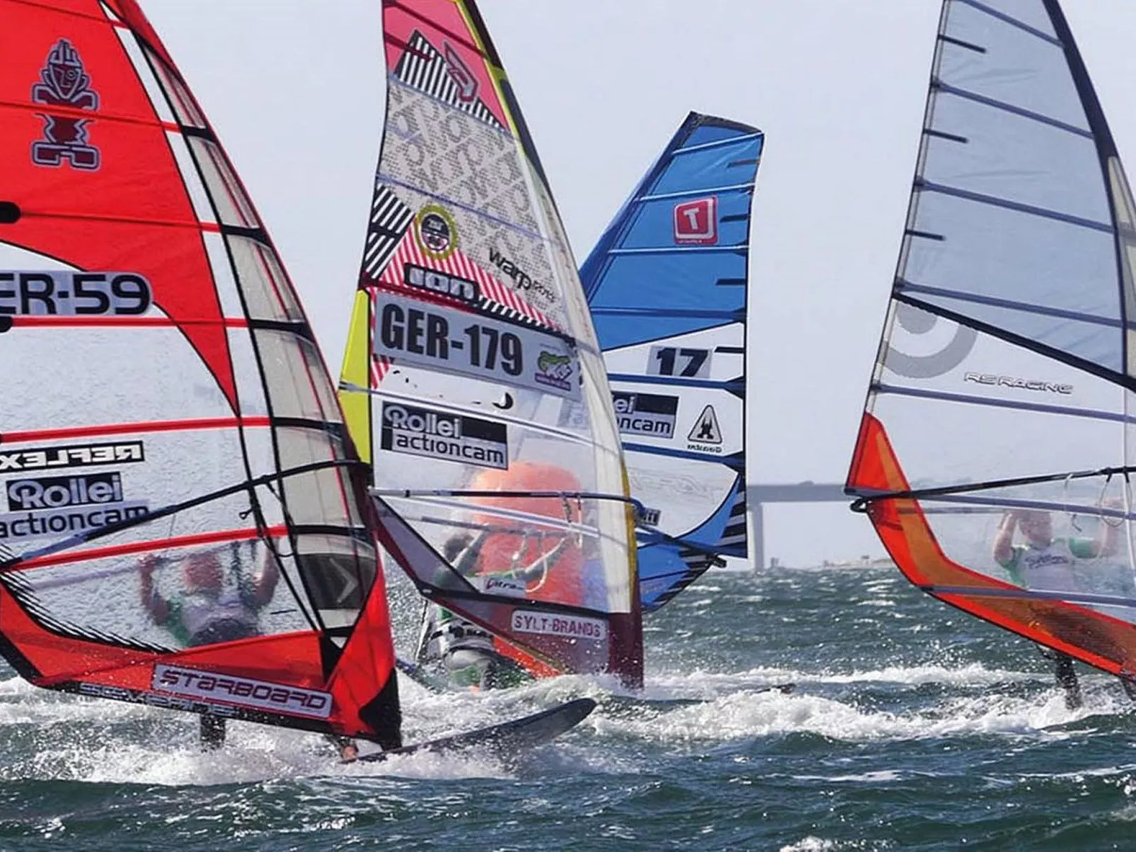 Heringsmöwe in Neue Tiefe-Buiten