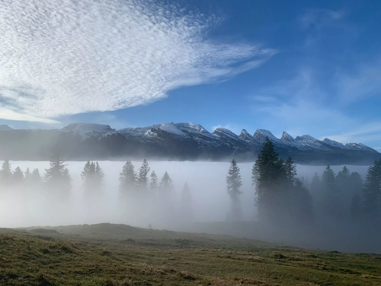 Studio alte Schmiede-Buiten
