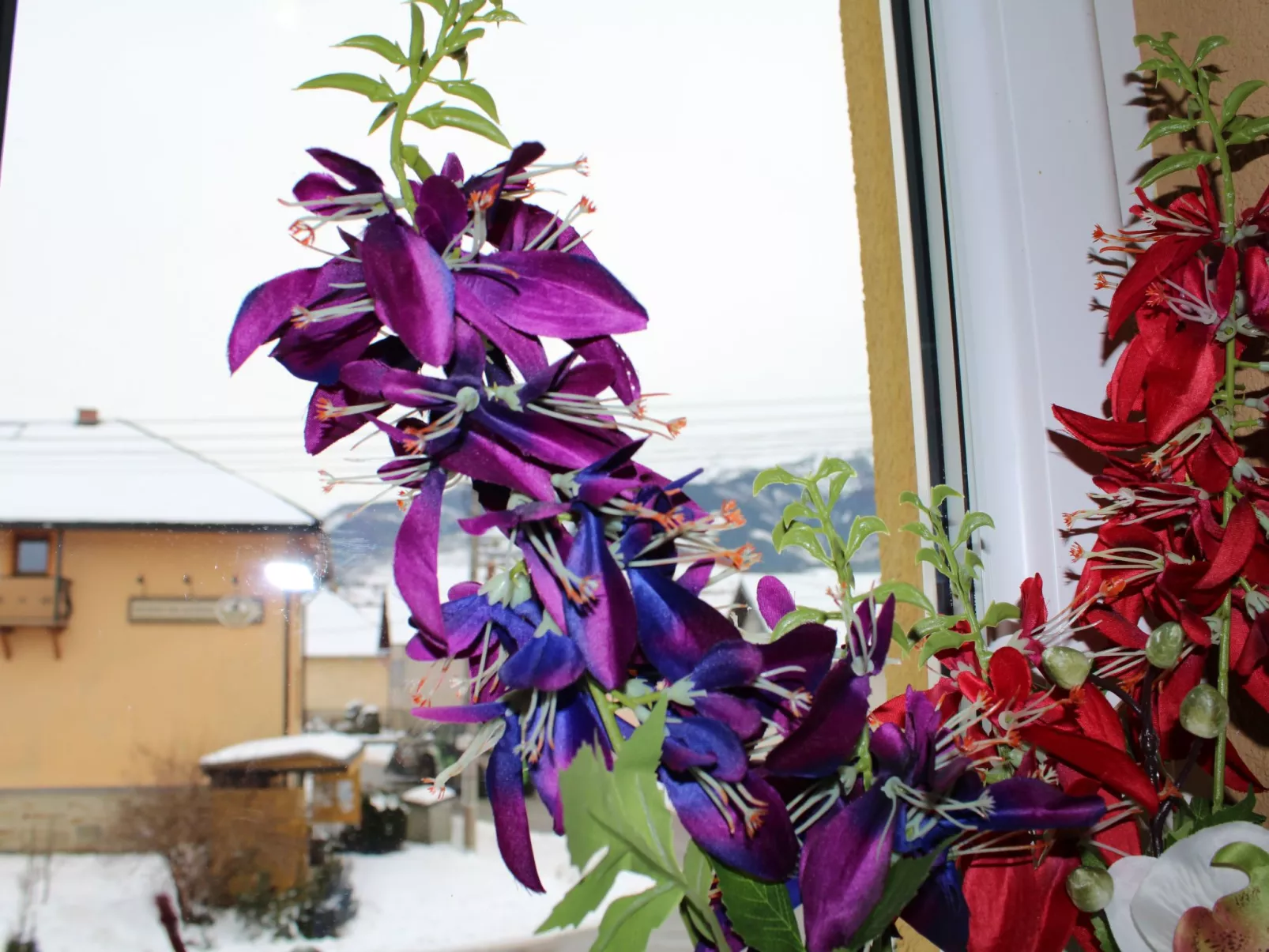 Wohnung mit Kamin N2-Image-tags.info