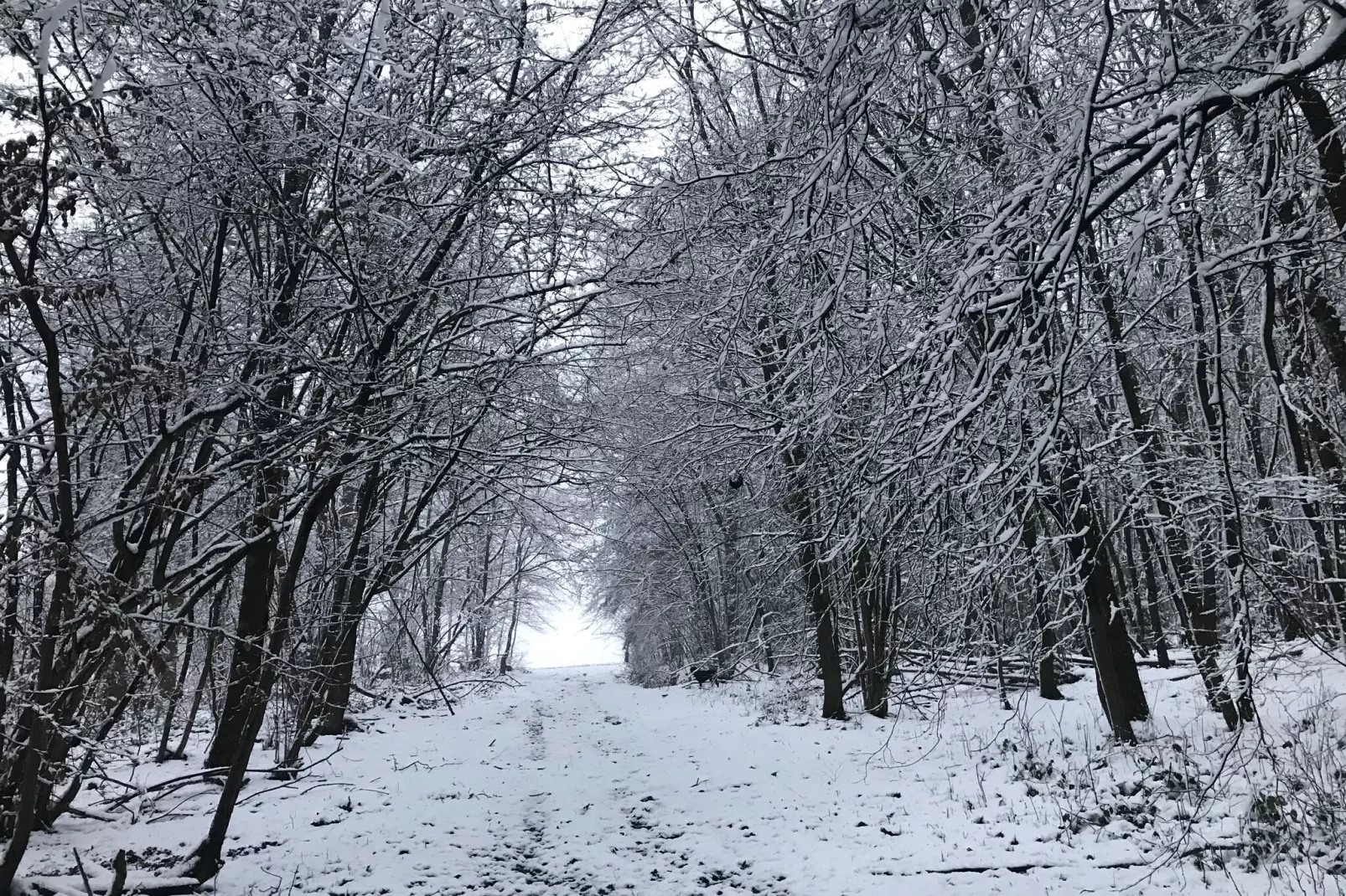 Das Kutscherhaus Windeck-Gebied winter 20km