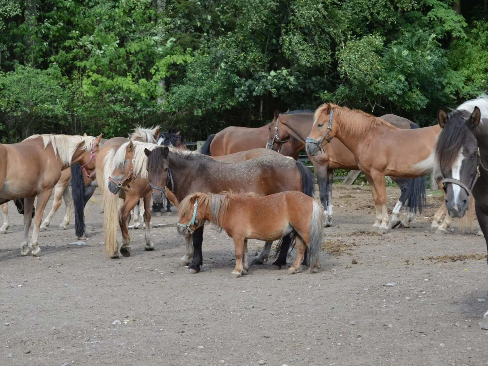 Mit zwei Schlafzimmern und Balkon-Buiten