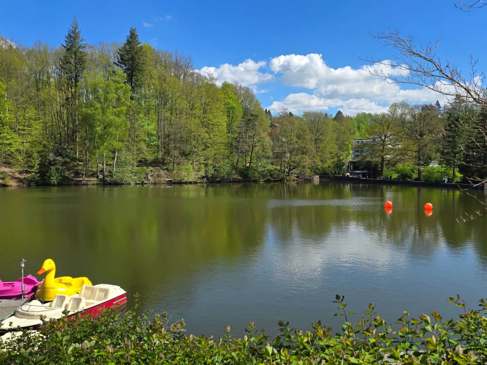 WALDLIEBE ♡-Buiten