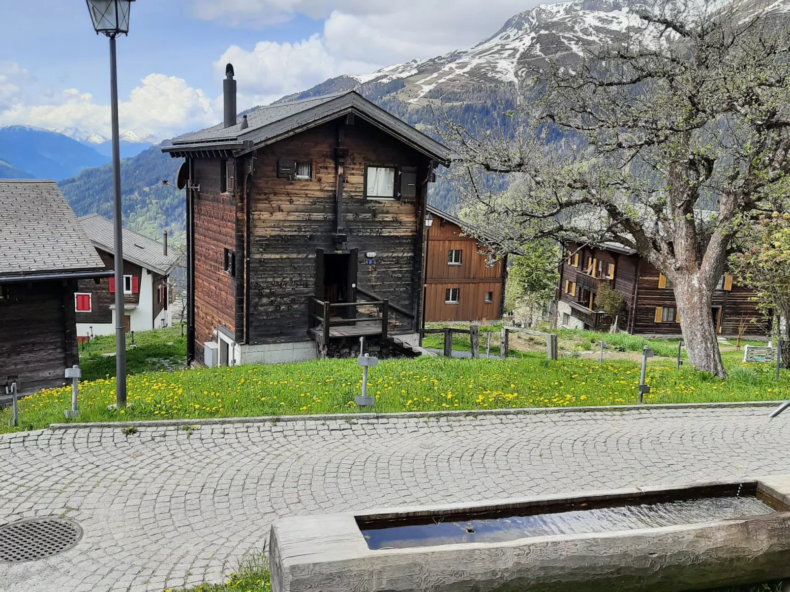 Stadel Sonnet-Image-tags.info