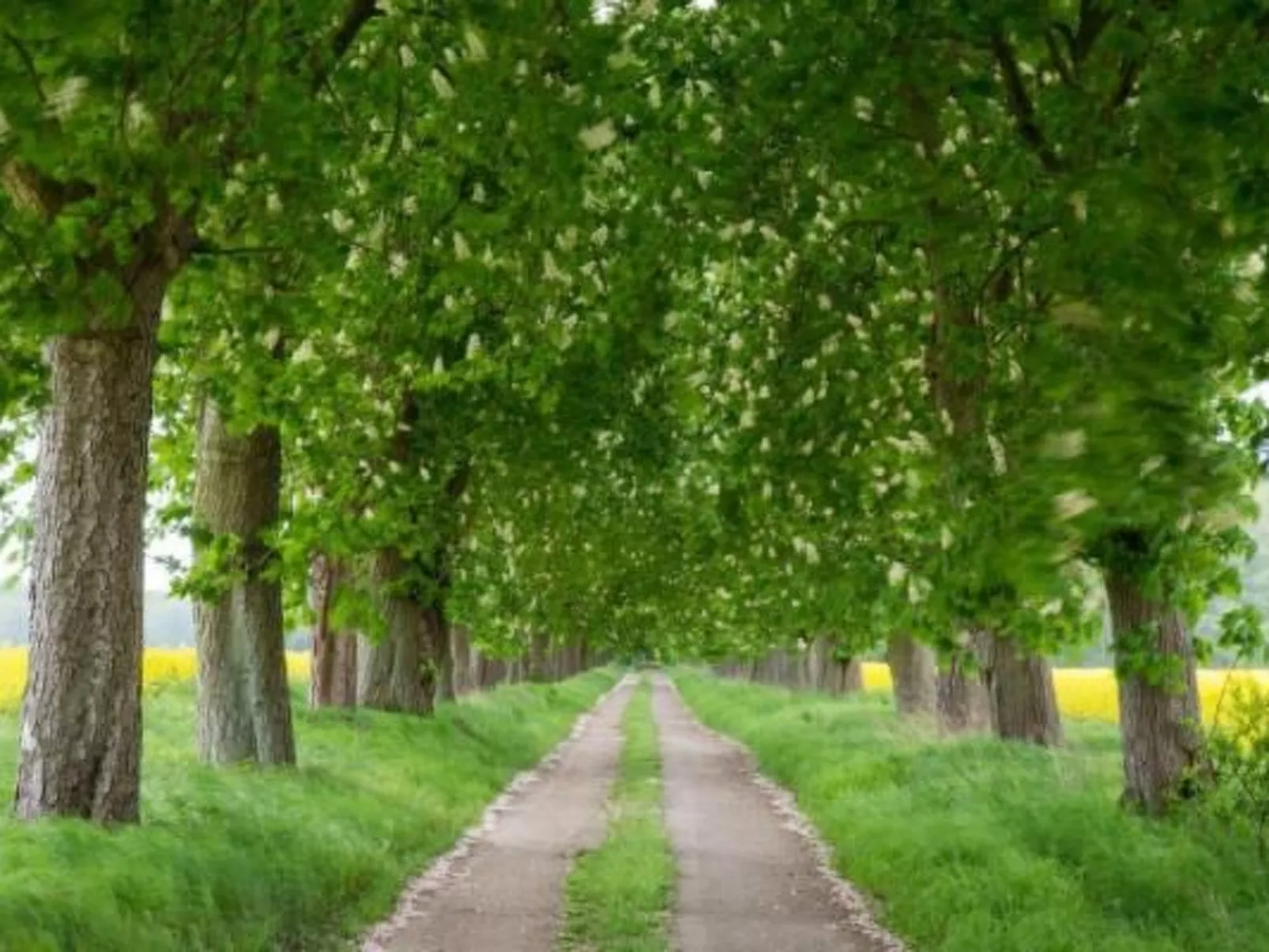 Müritzblick35-Buiten