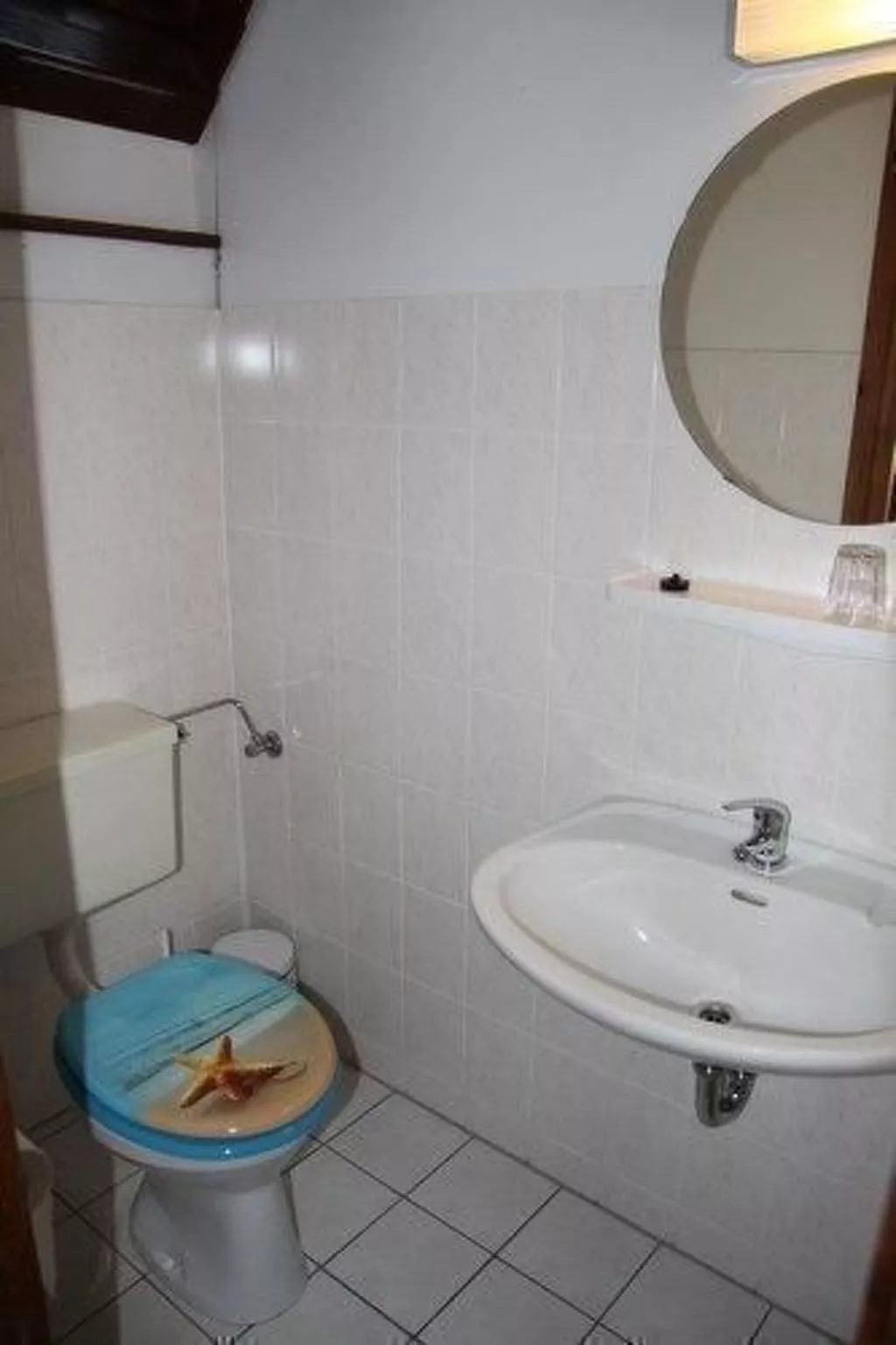 Sonja-Image-tags.info