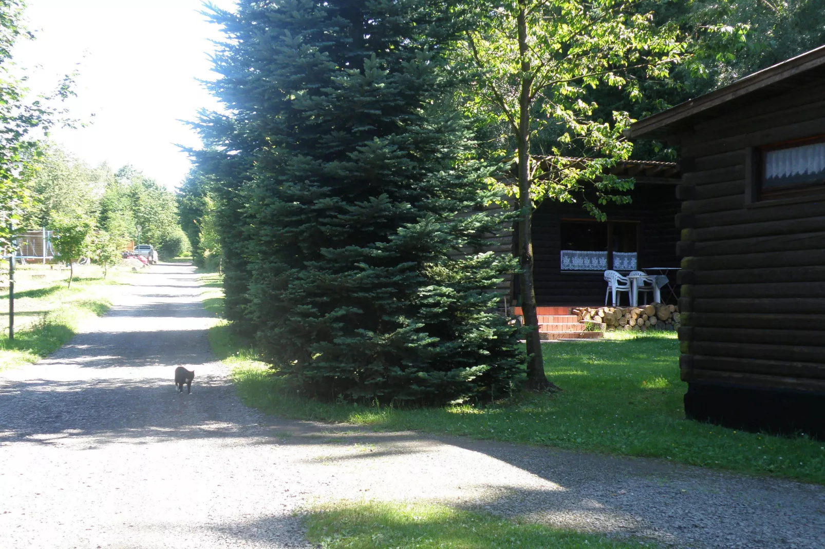 Bungalowpark Schnee-Eifel 1-Gebieden zomer 1km