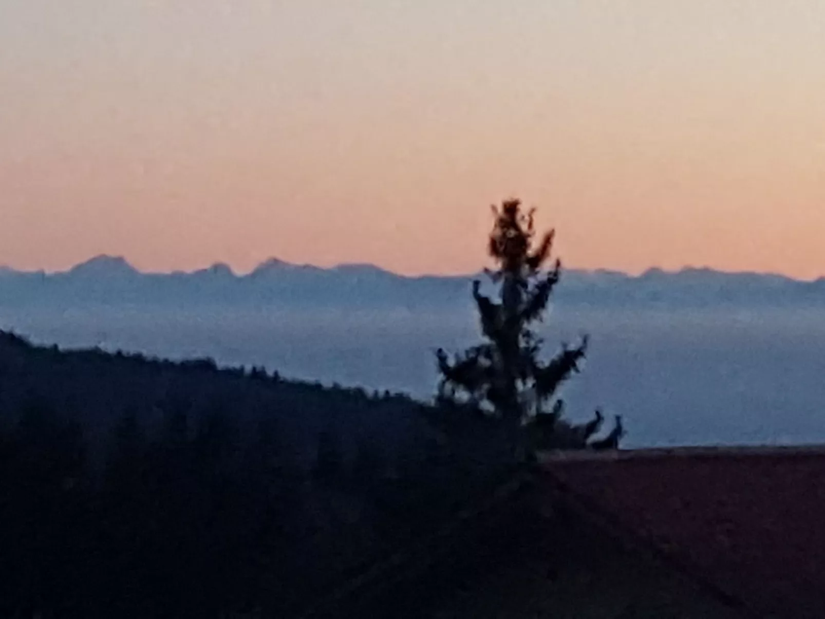 Bayernwald Idyll-Buiten