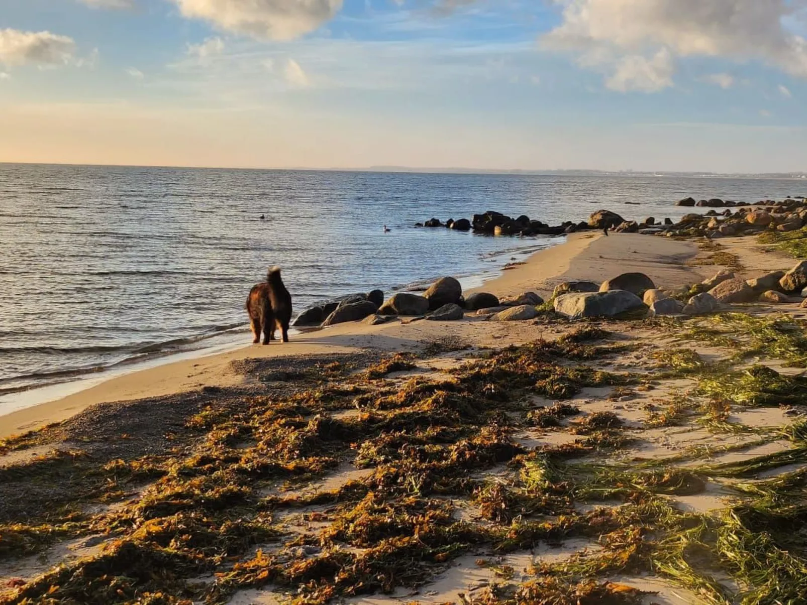 Strandvilla am Meer-Buiten