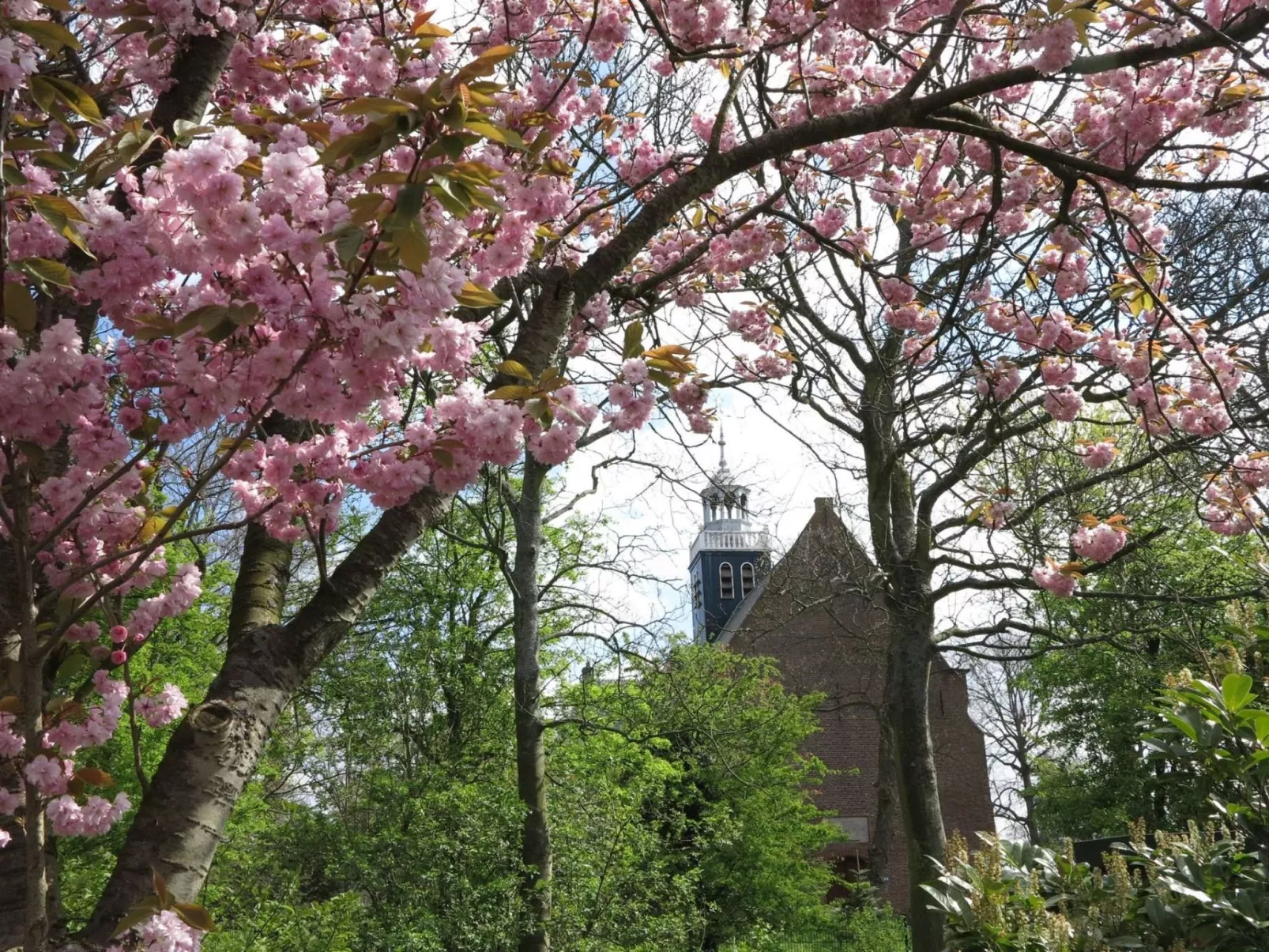 Sommerhaus Klein Wimmenum, Nähe Strand und Dünen-Image-tags.info