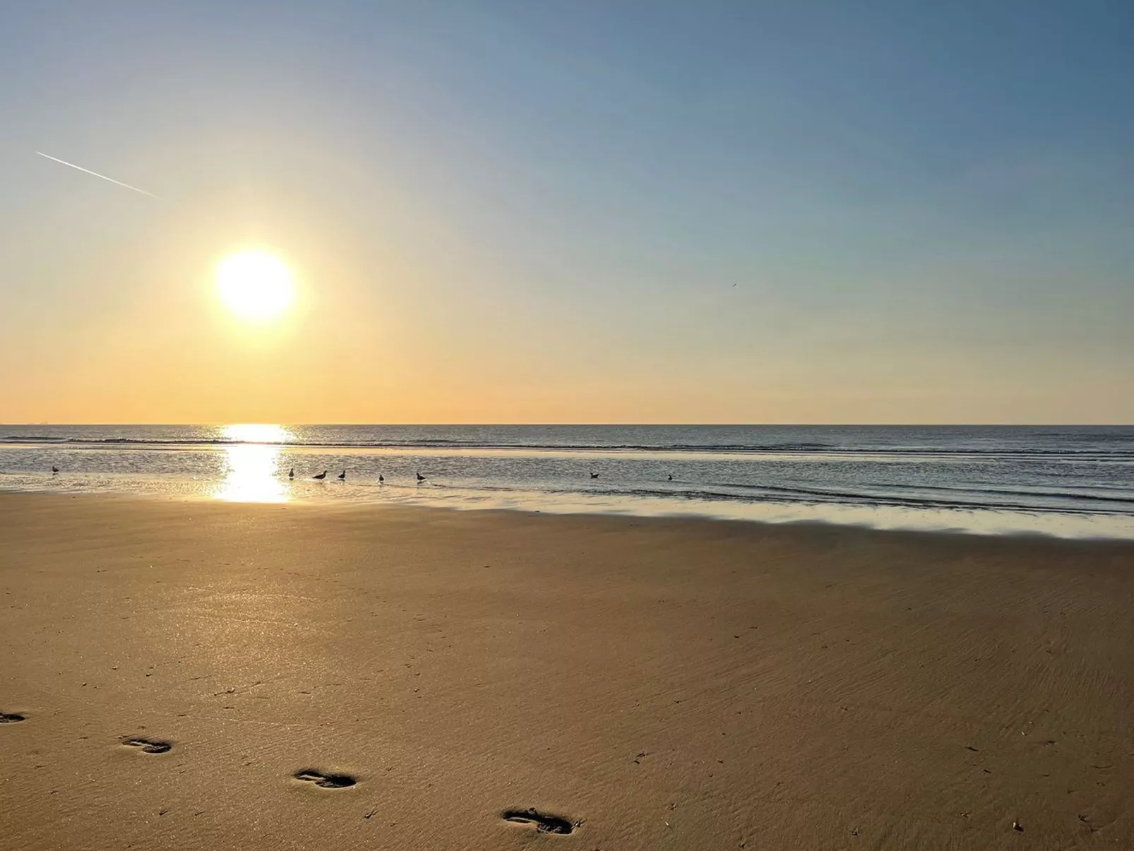 MarBriliante-Image-tags.info