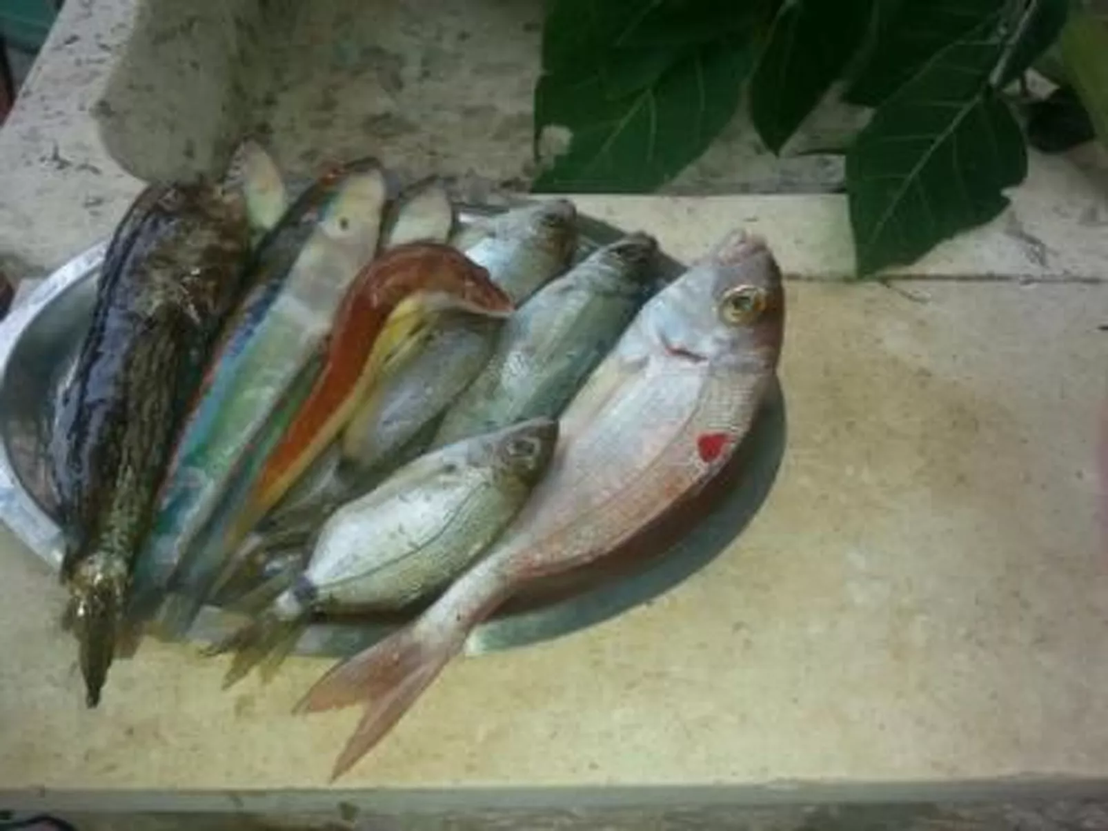 In Okrug Donji mit privatem Parkplatz-Image-tags.info