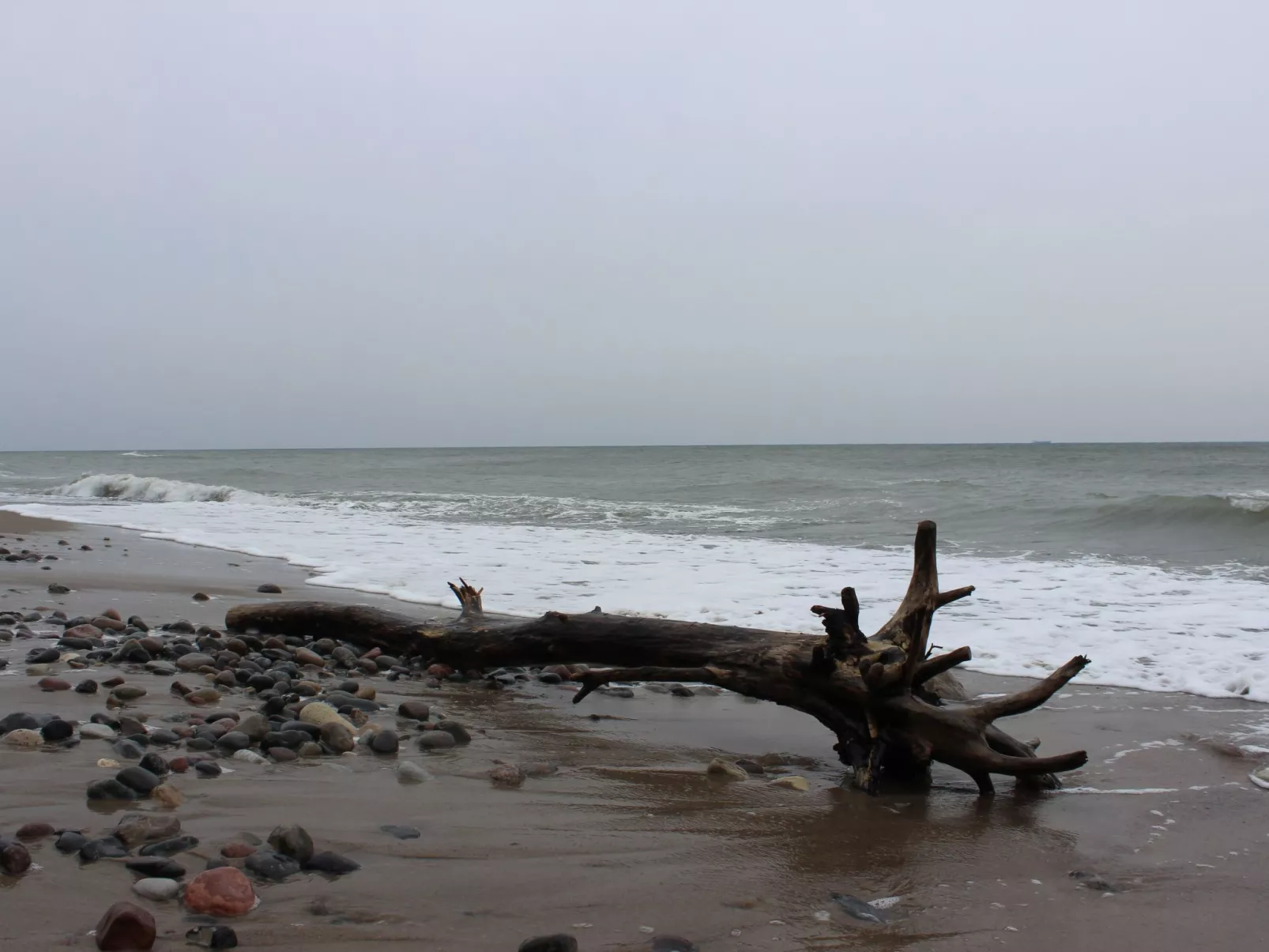 In Dranske an der Ostseeküste Rügens-Buiten