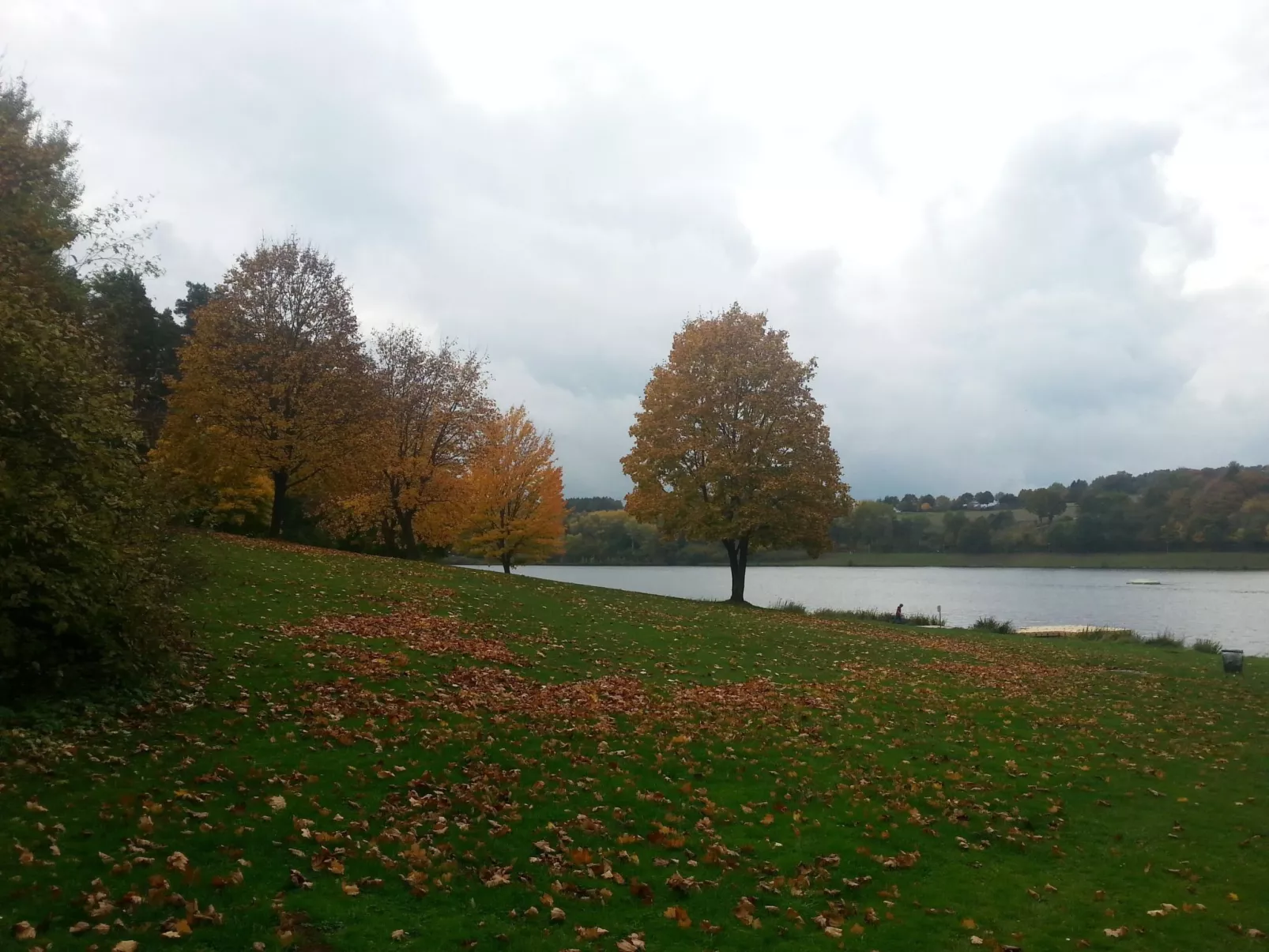Wunderschönes Ferienhaus am Waldrand-Buiten