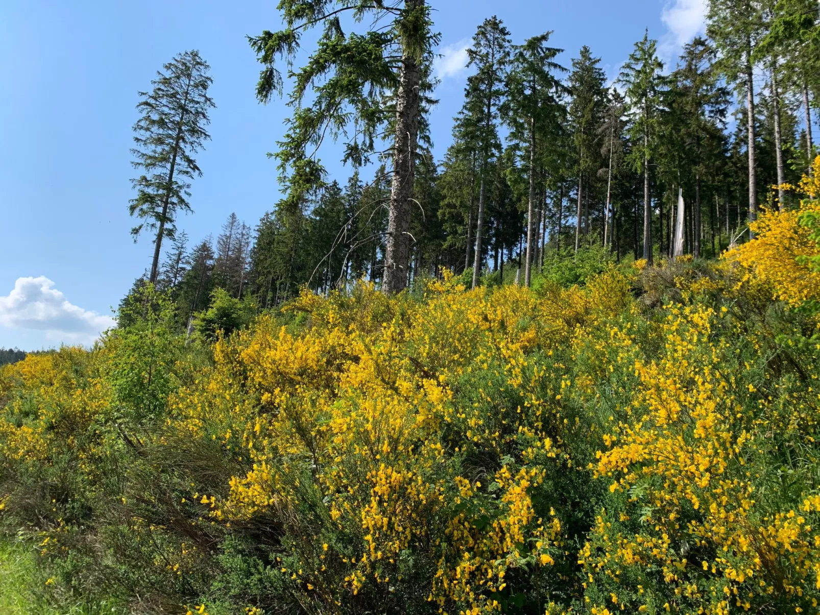Mit eigener Terrasse-Buiten