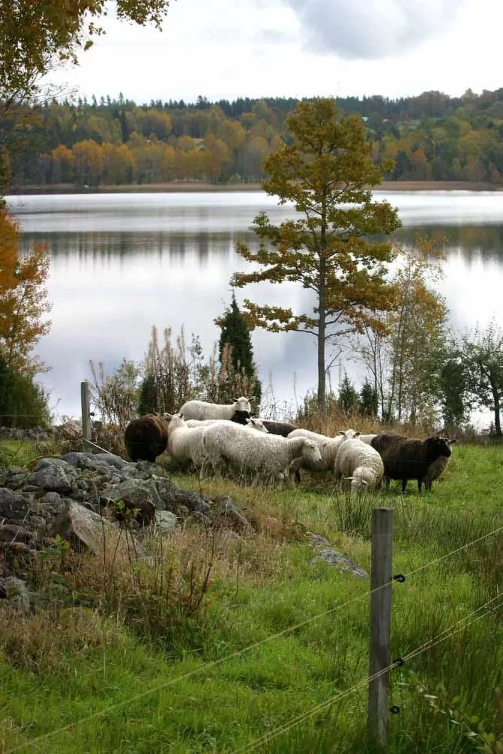 Haus mit toller Aussicht an einem schönen See-Buiten