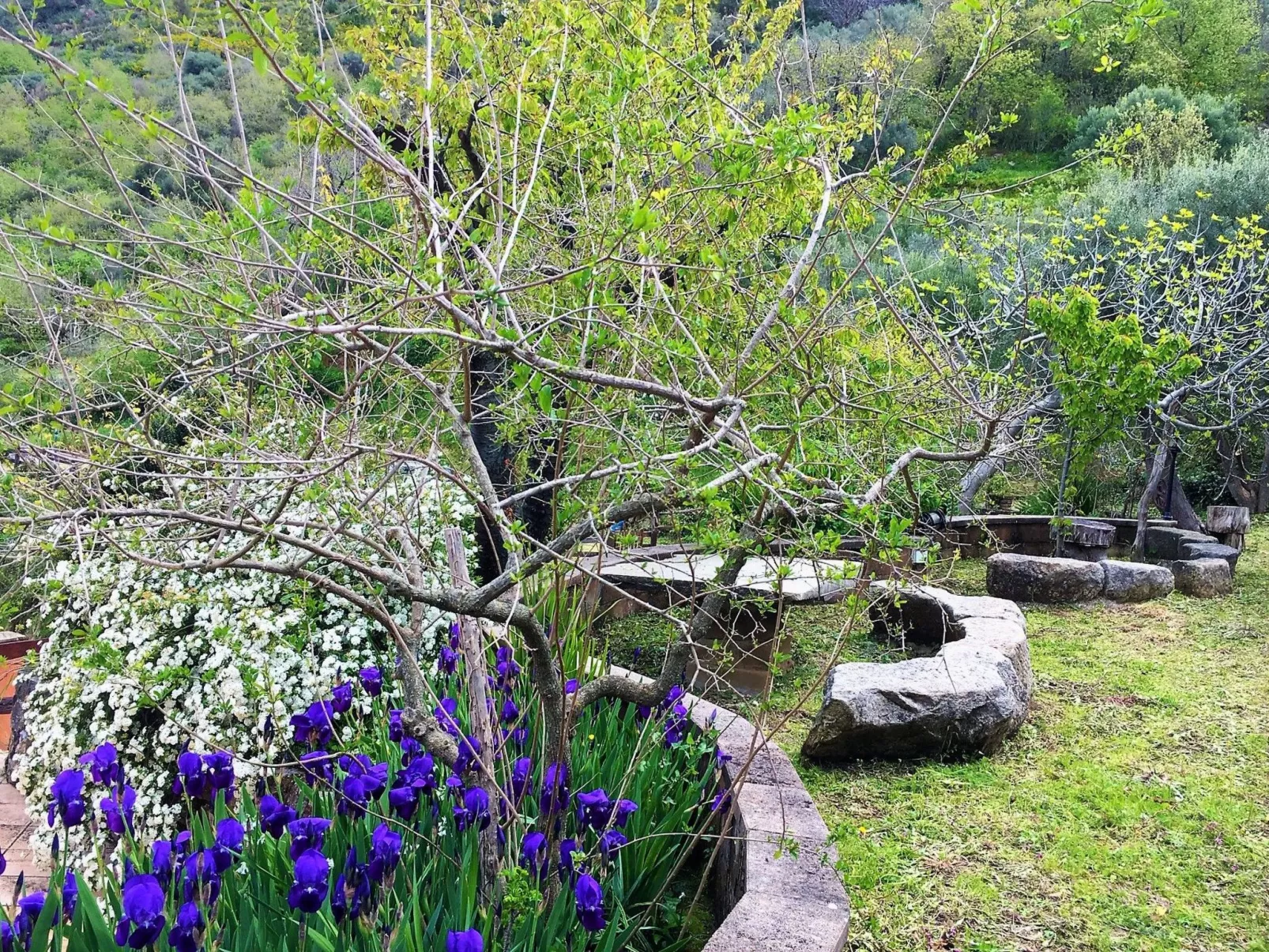 Orange Wohnung-Buiten