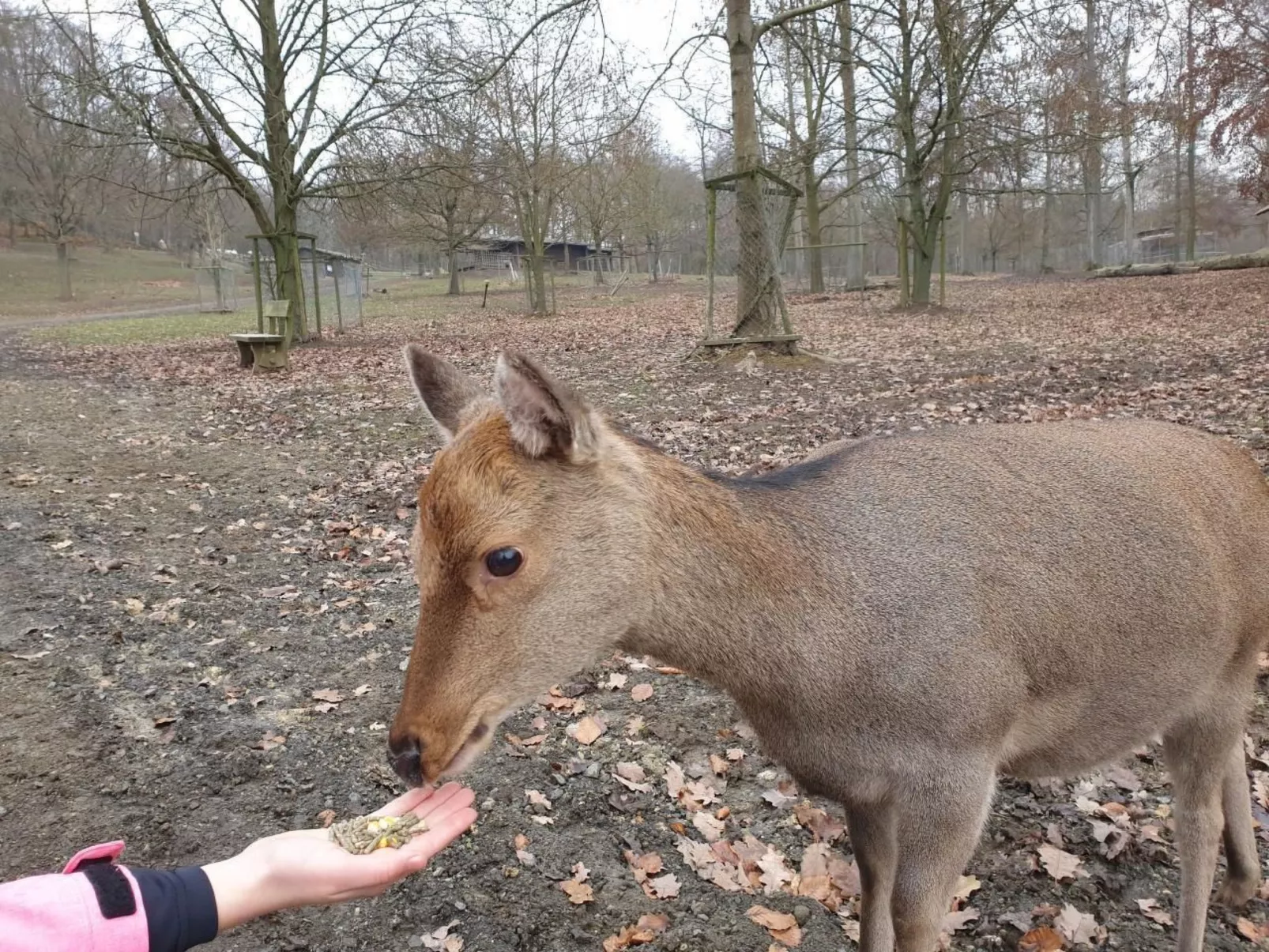 Waldhaus57 Silbersee-Image-tags.info