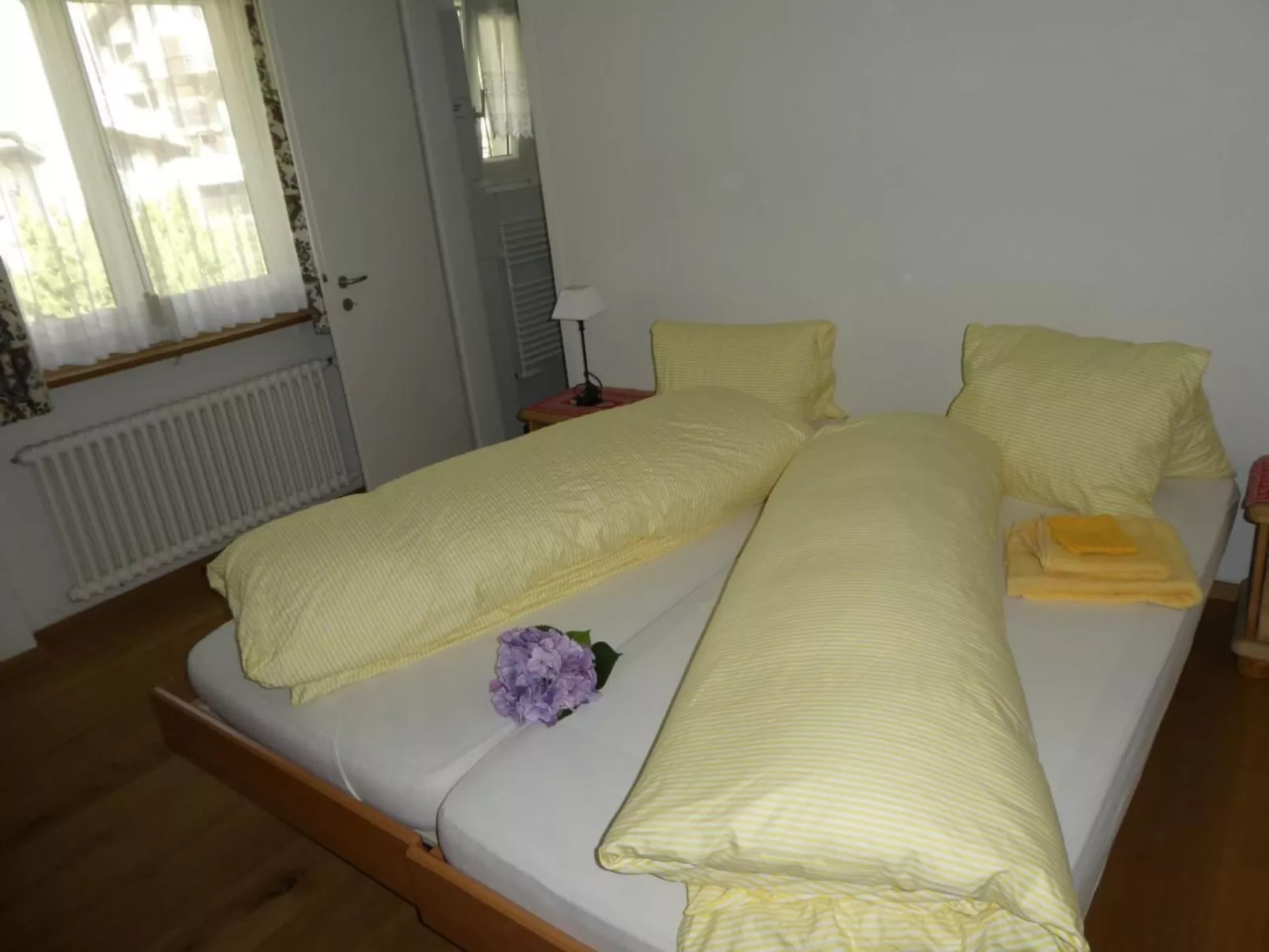 Carina 4-Image-tags.info