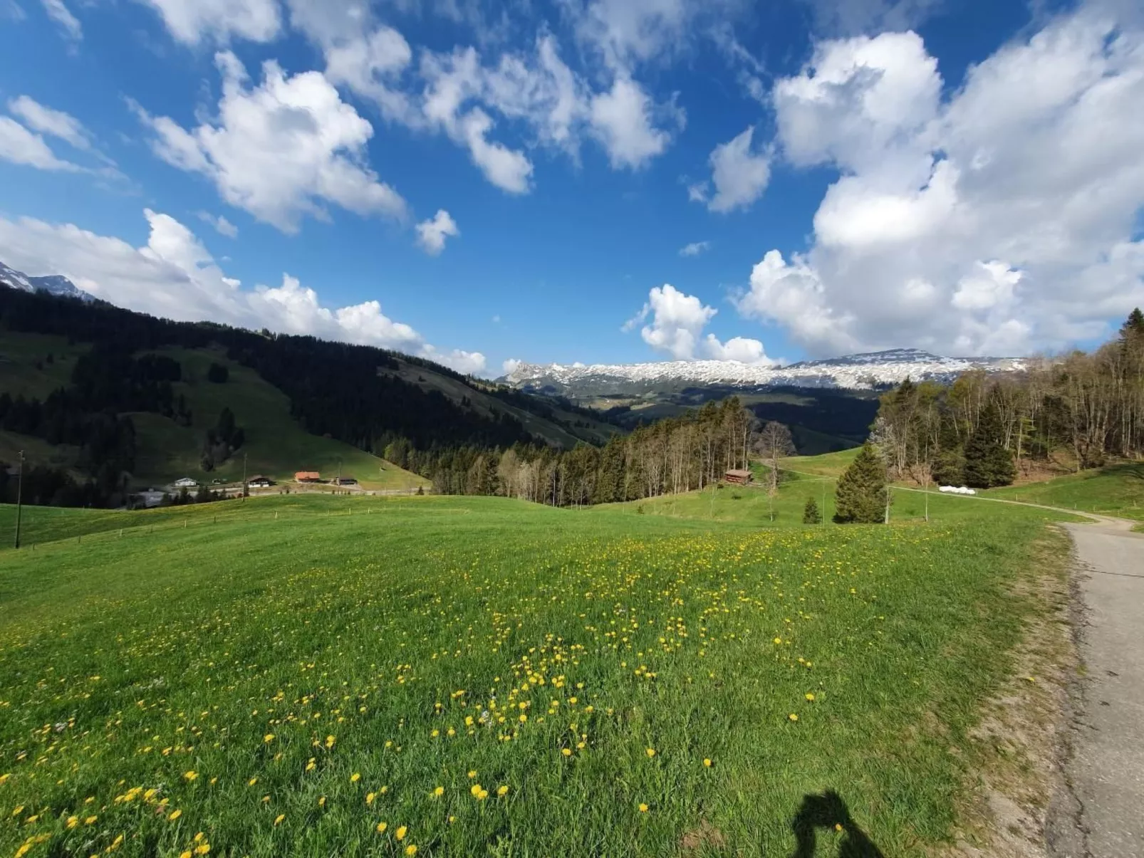 Kolibri Hochparterre-Buiten