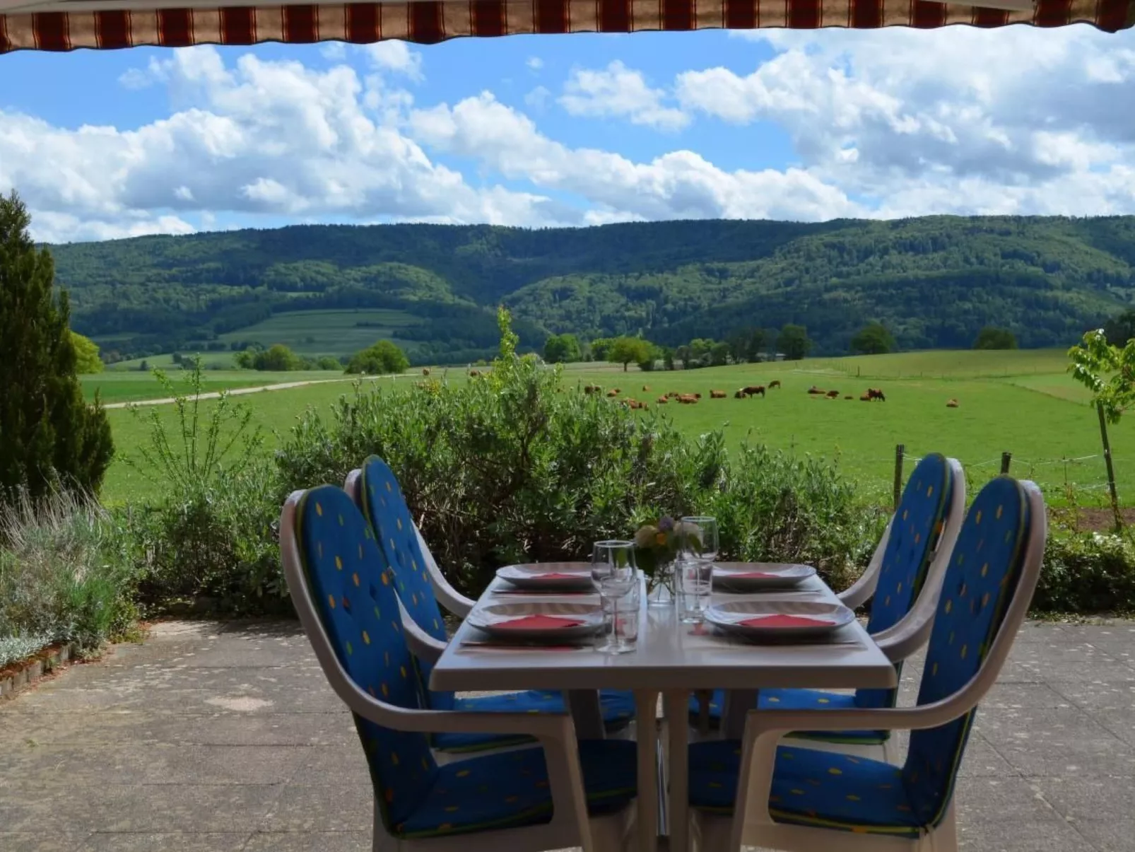 Wohnung "Bellevue"-Buiten