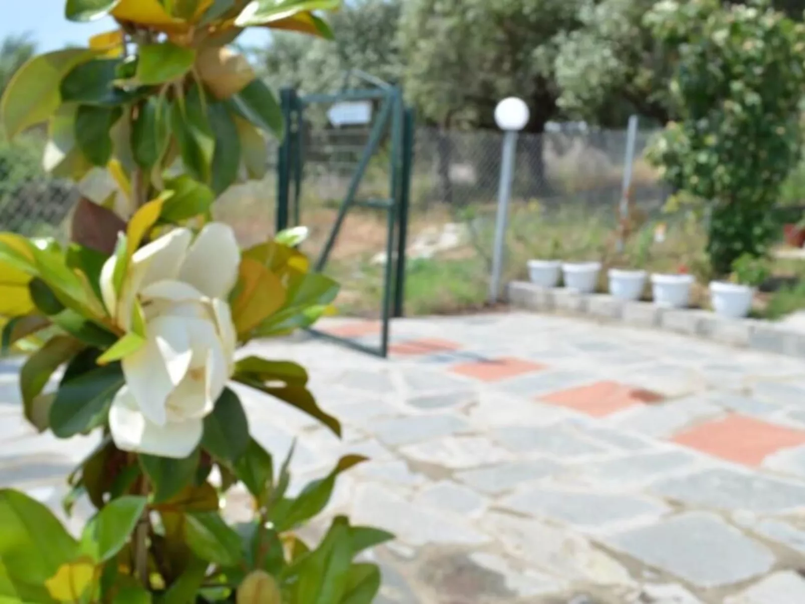 "Villa siesta" in Strandnähe-Buiten