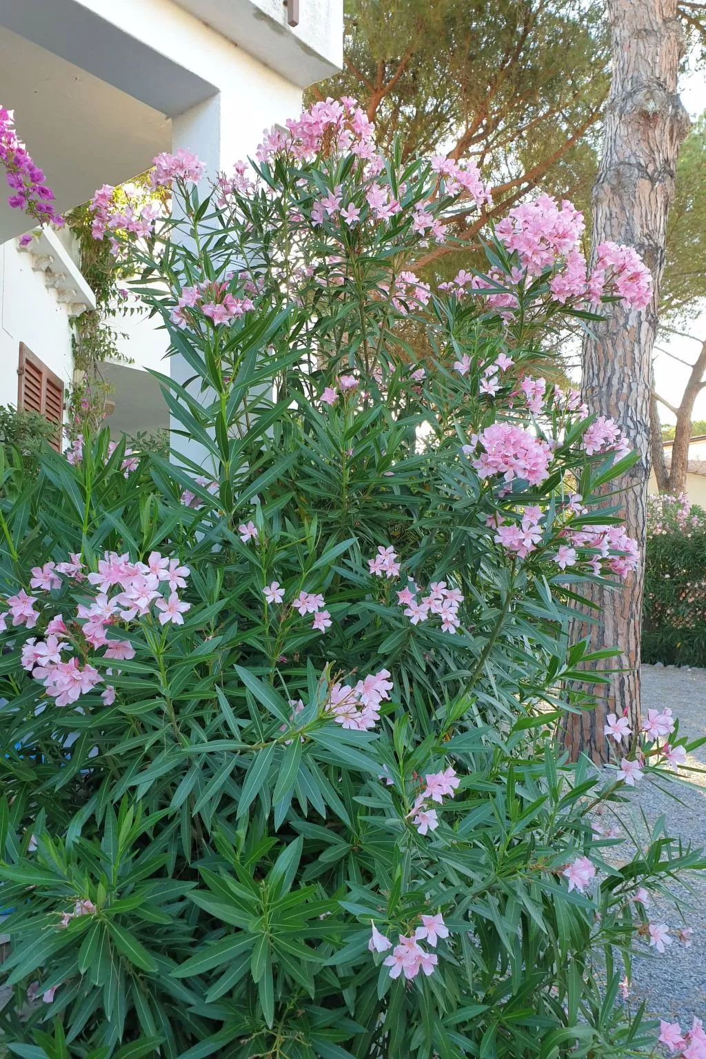Direkt am Wasser-Buiten