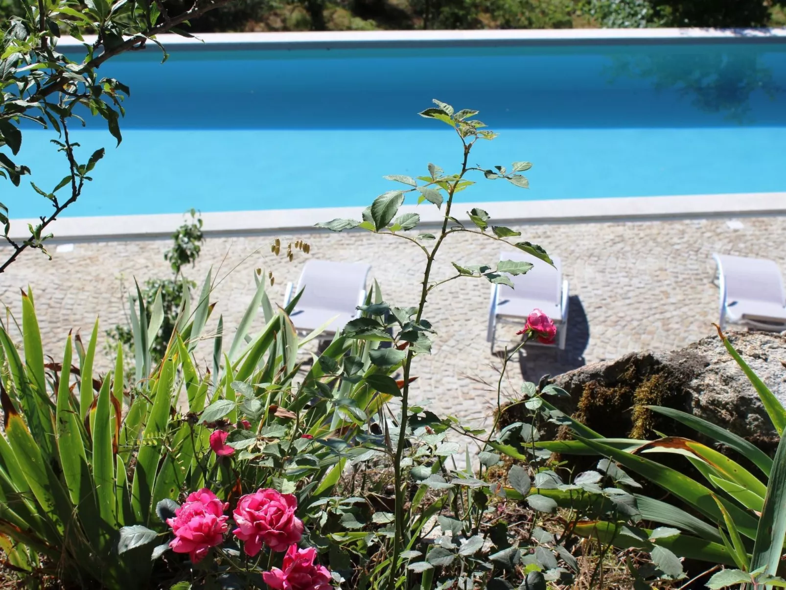 Renoviertes Landhaus für 4 Personen in Tondela-Buiten