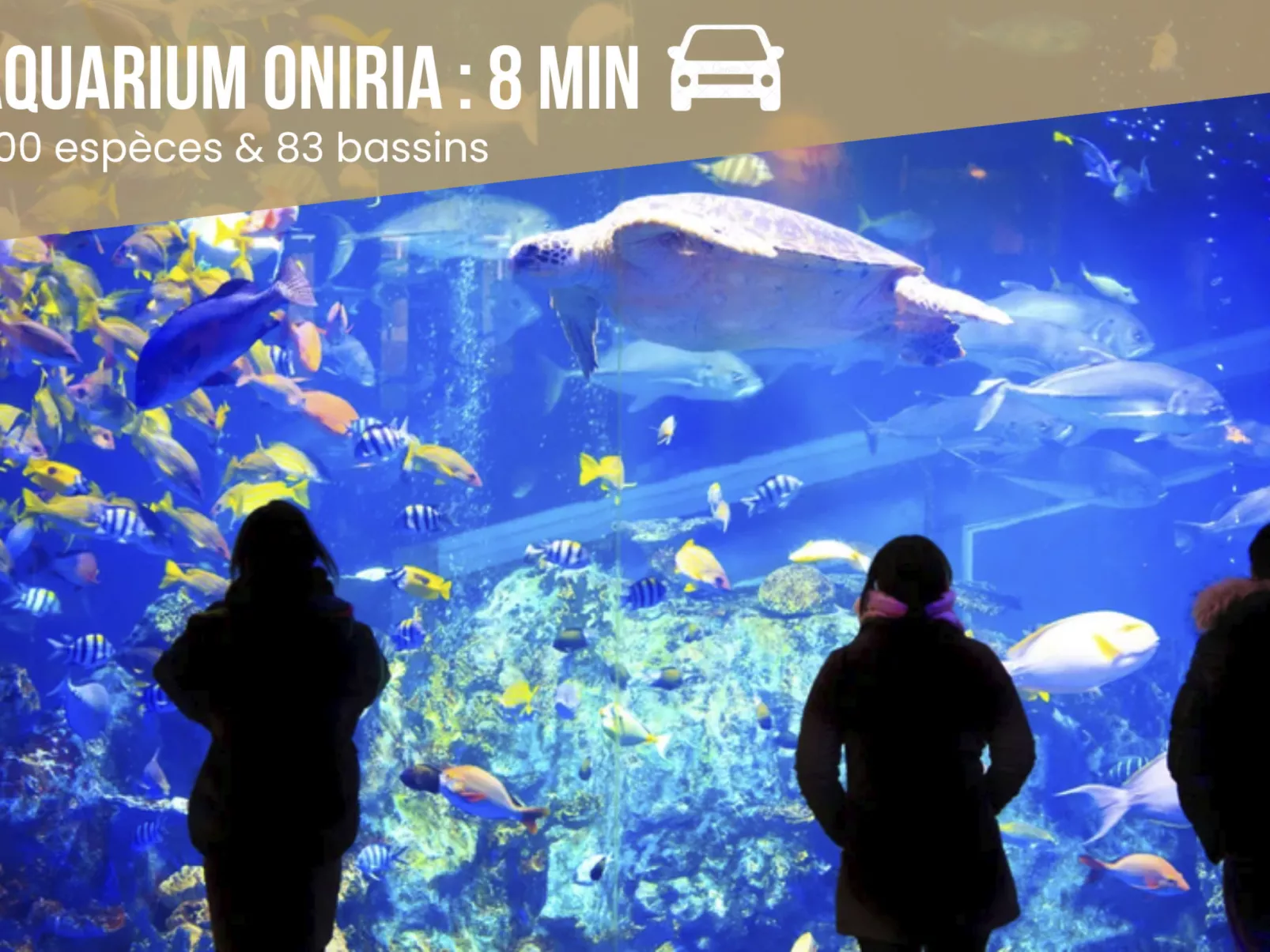 Dreamy Lodge - Genuss, Strand in 100m-Buiten