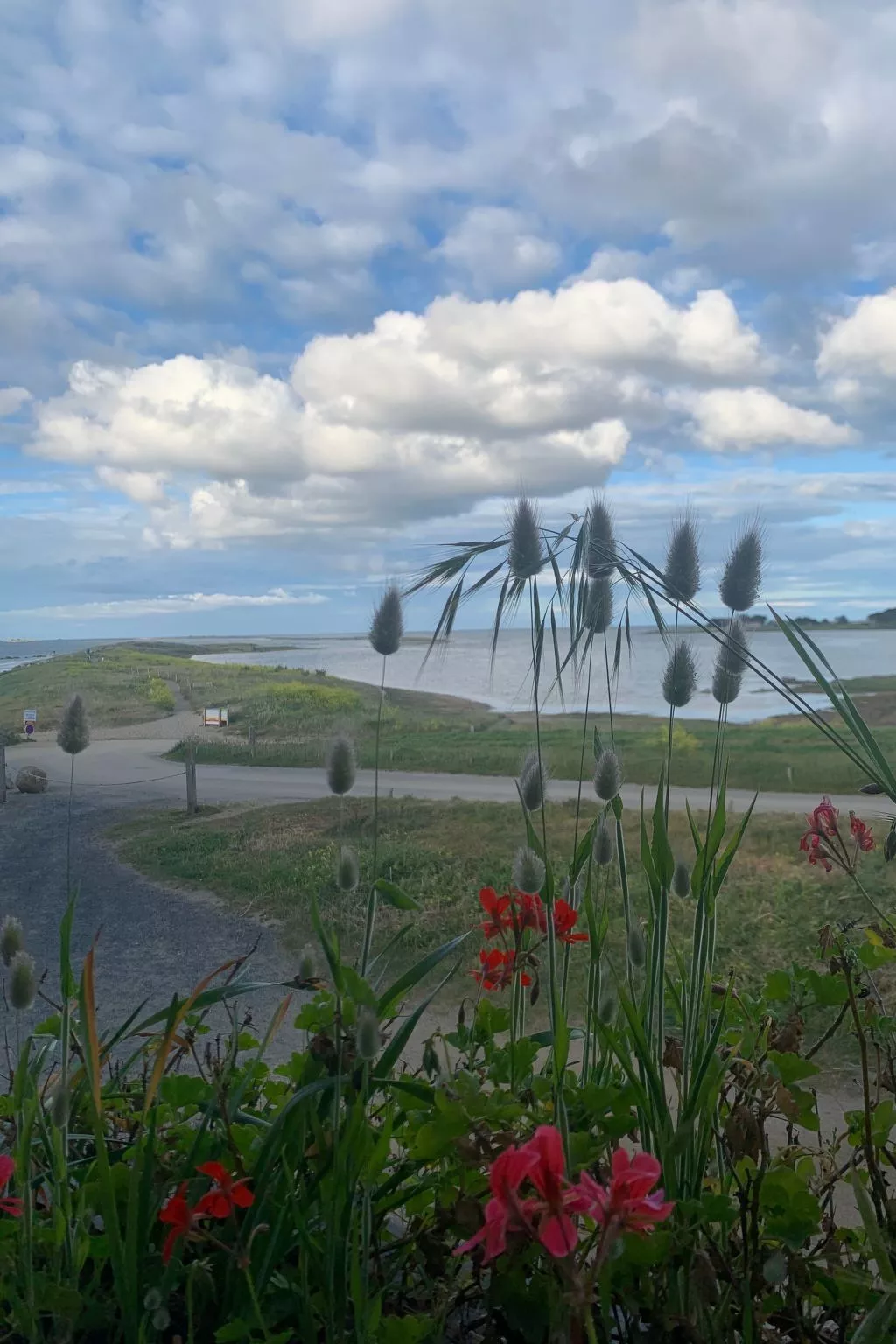Les Chardons Bleus Sauna Jacuzzi Meerblick-Buiten