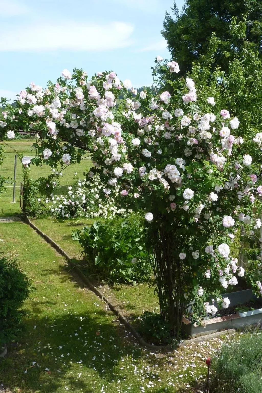 In Hasle-Rüegsau-Buiten