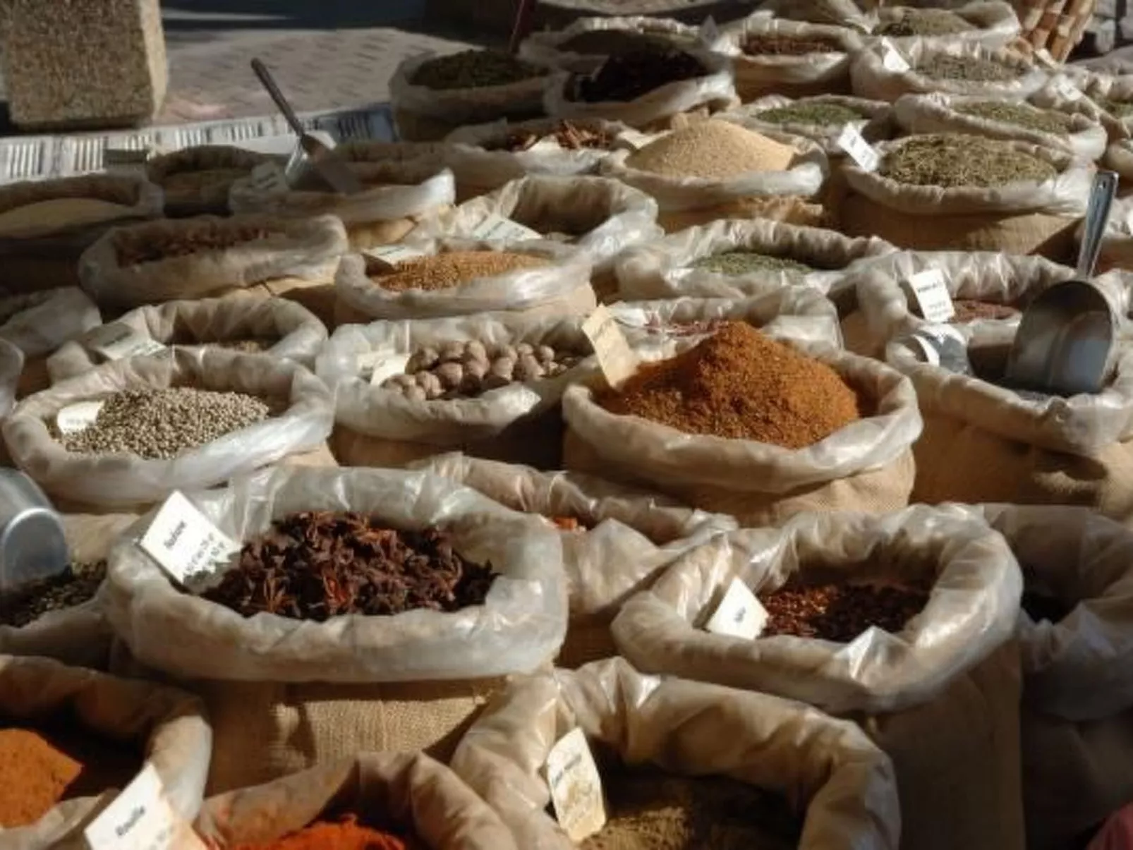 "Haus der Olivenbäume"-Buiten