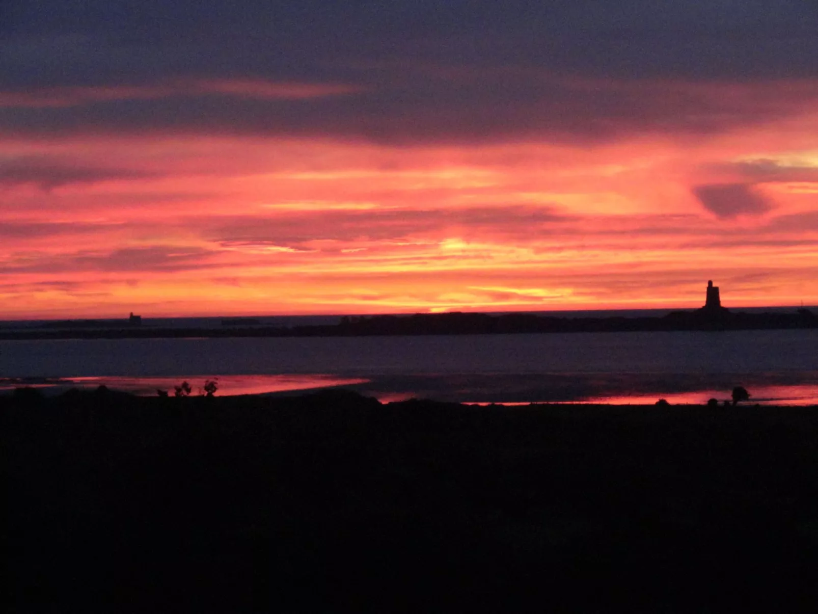 "L'Eucalyptus-Buiten